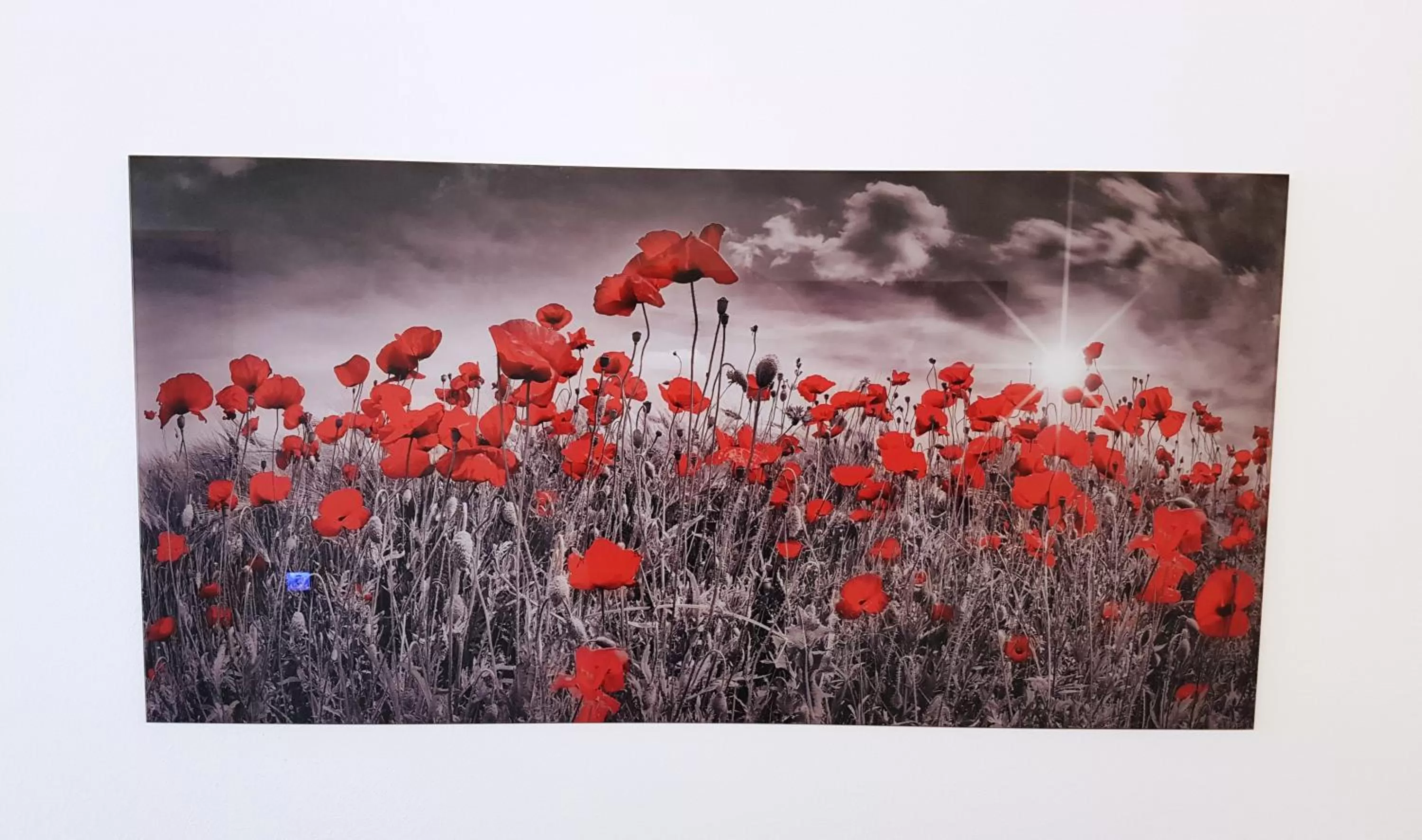 Hiking in Hotel Garni Jägerhof