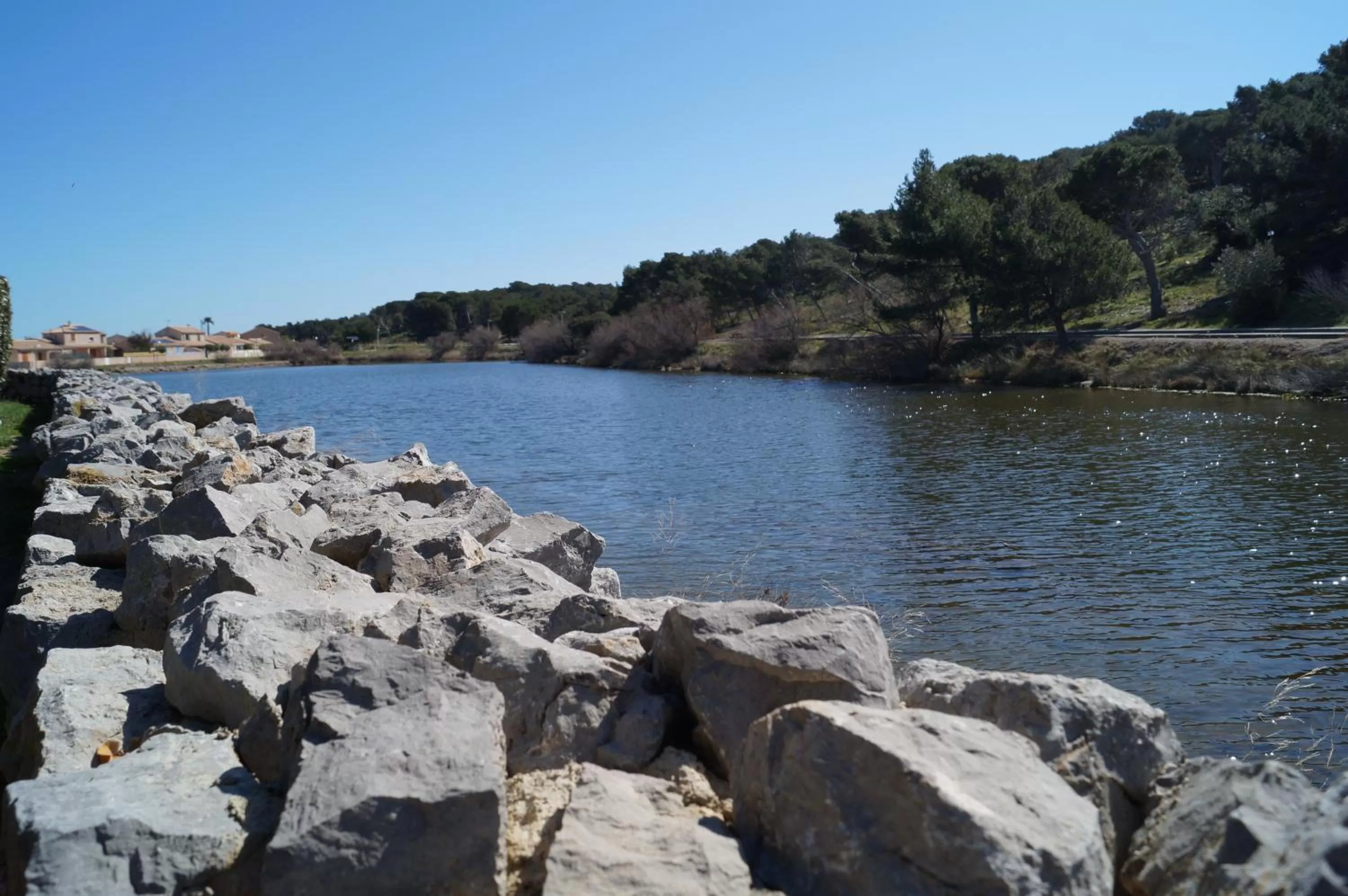 Area and facilities in Hotel Le Phoebus Garden & Spa