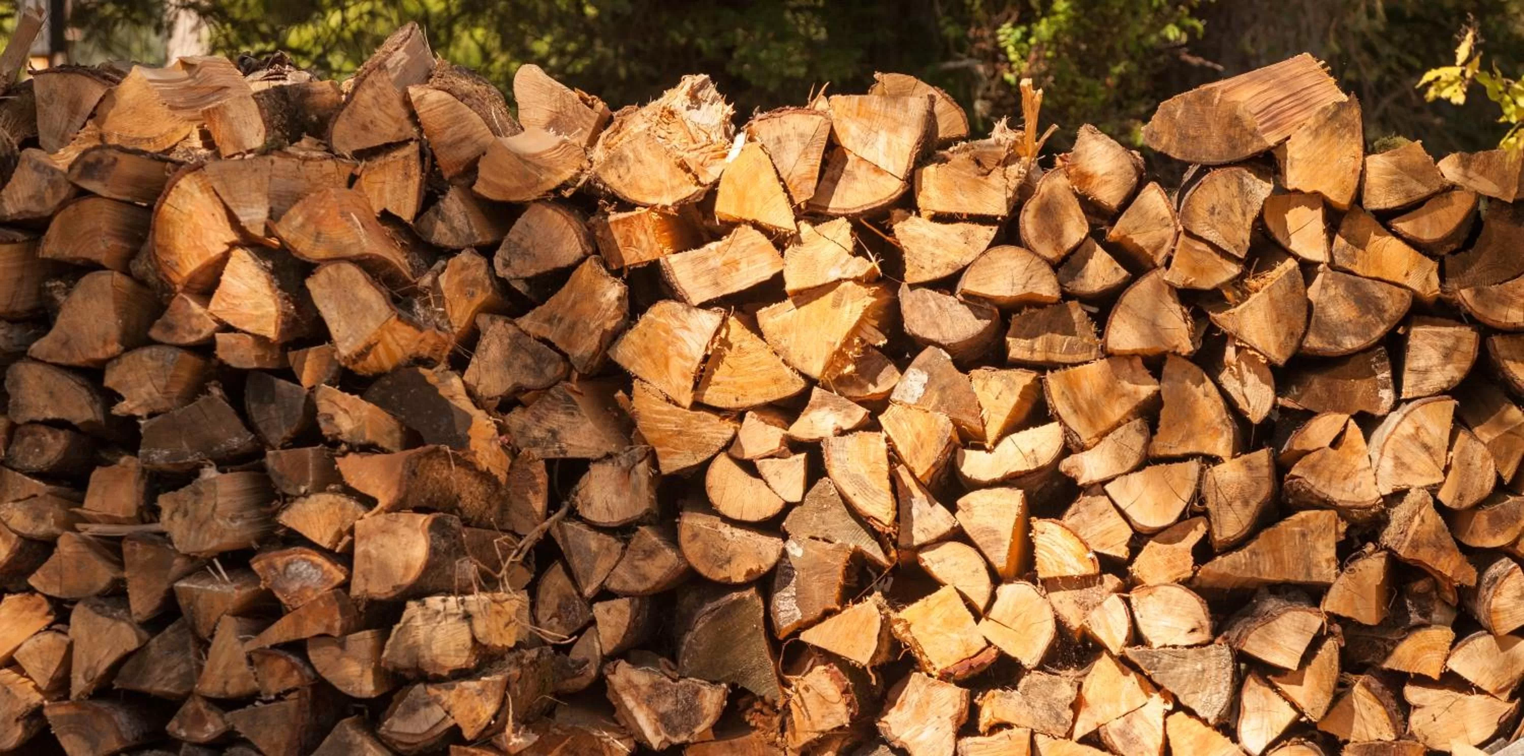 Area and facilities in Sheltered Nook On Tillamook Bay