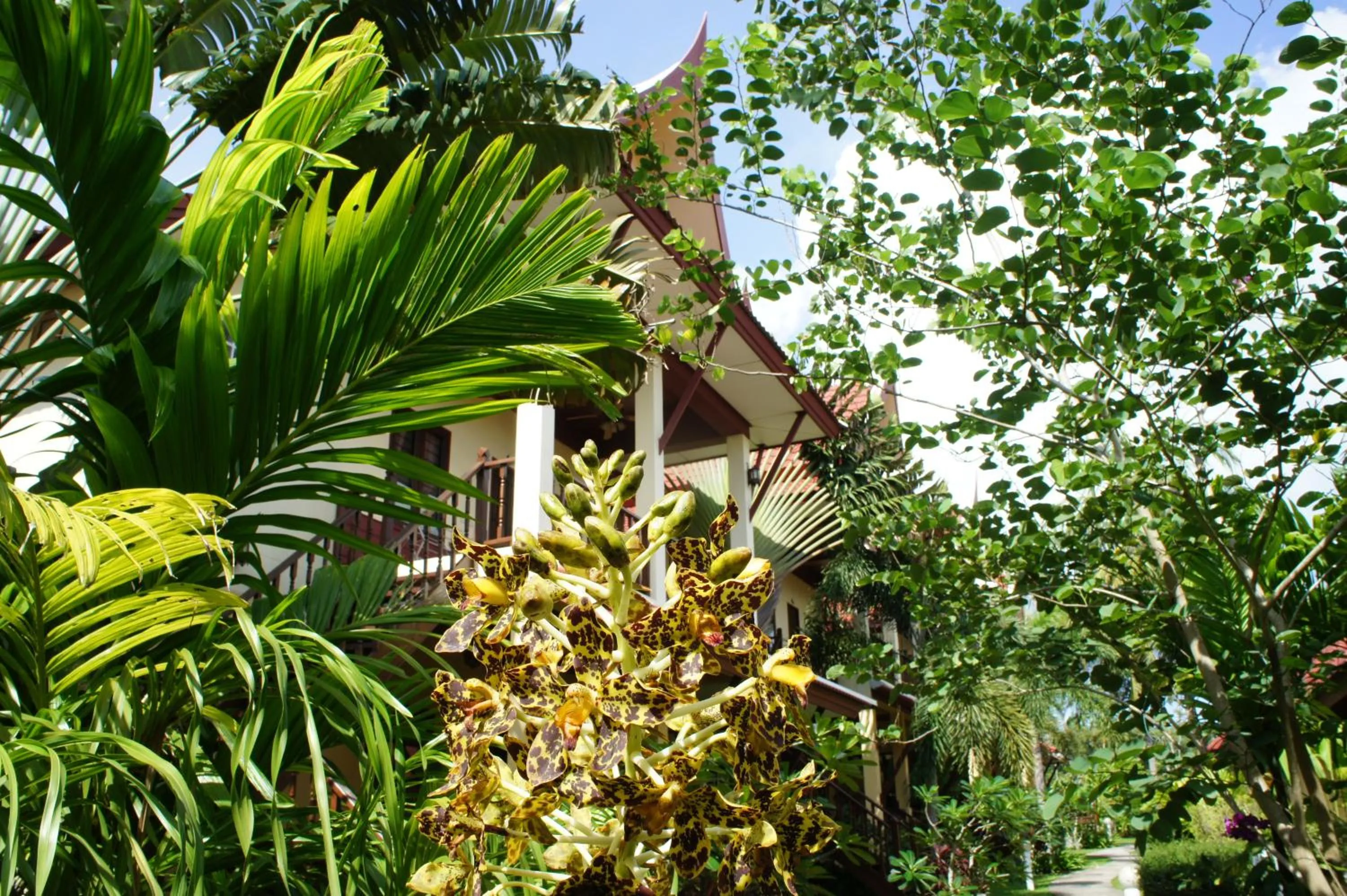 Garden in Palm Village