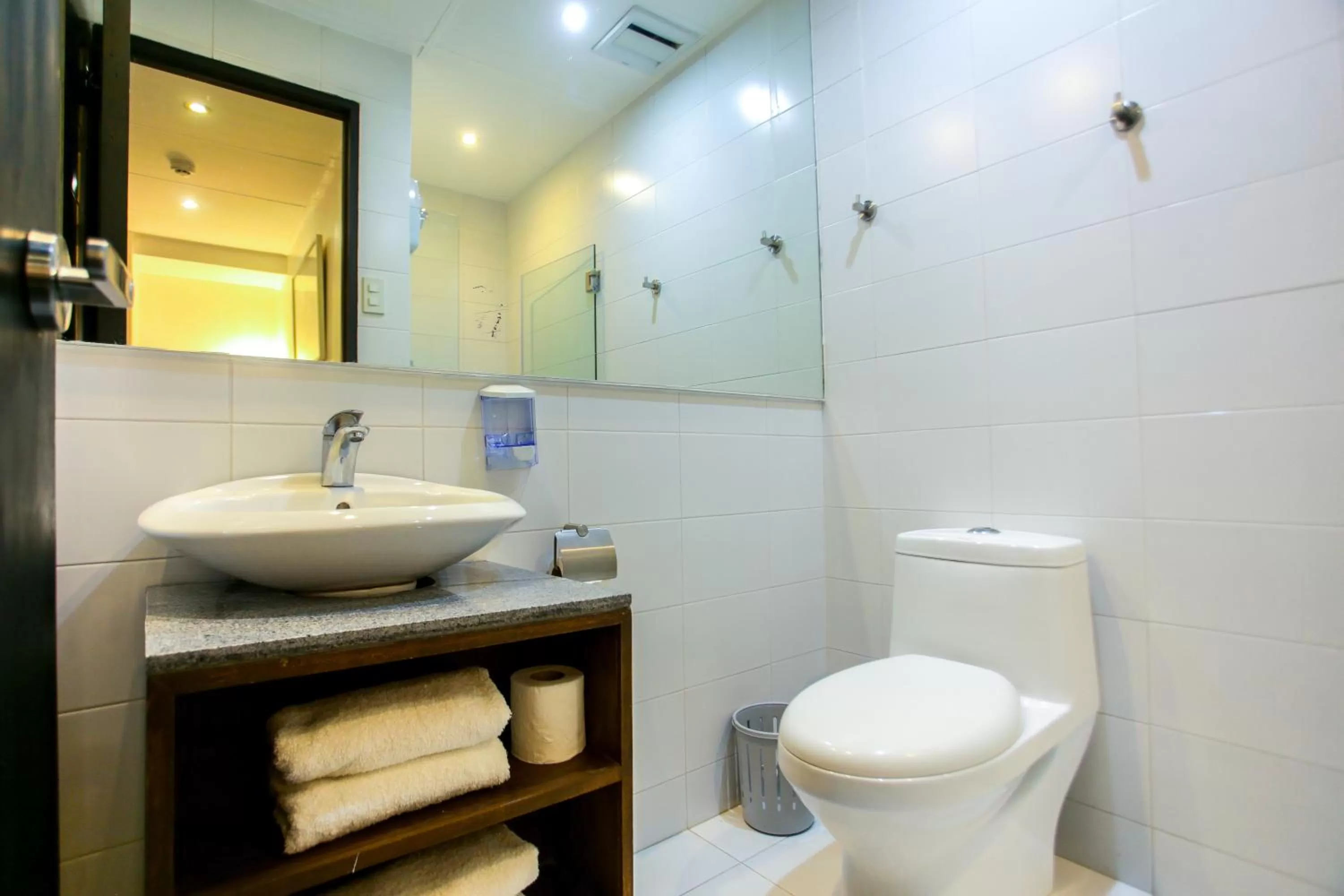 Toilet in Hotel Durban