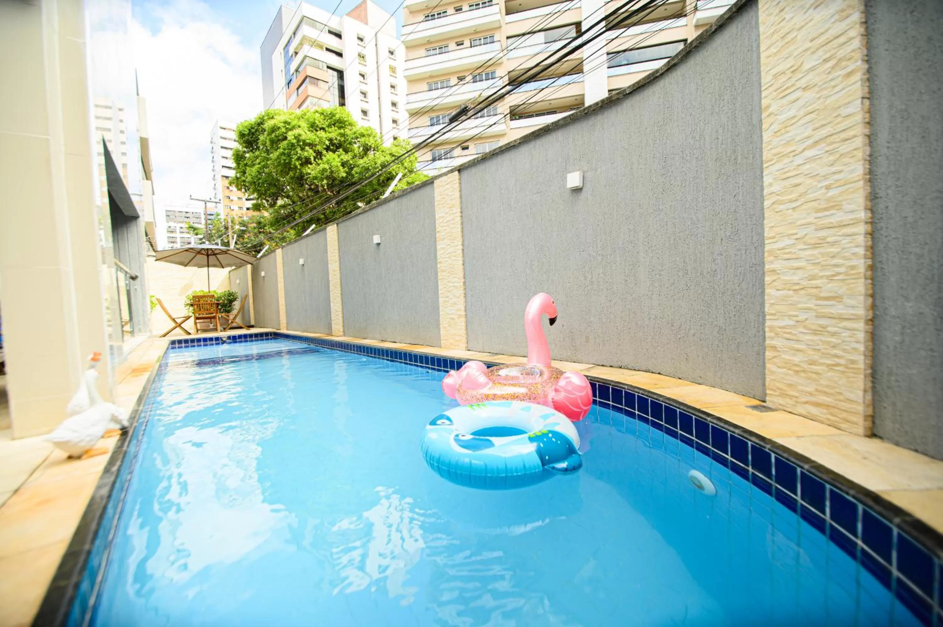 Swimming pool in Hotel Rotorua inn Fortaleza - Beira Mar