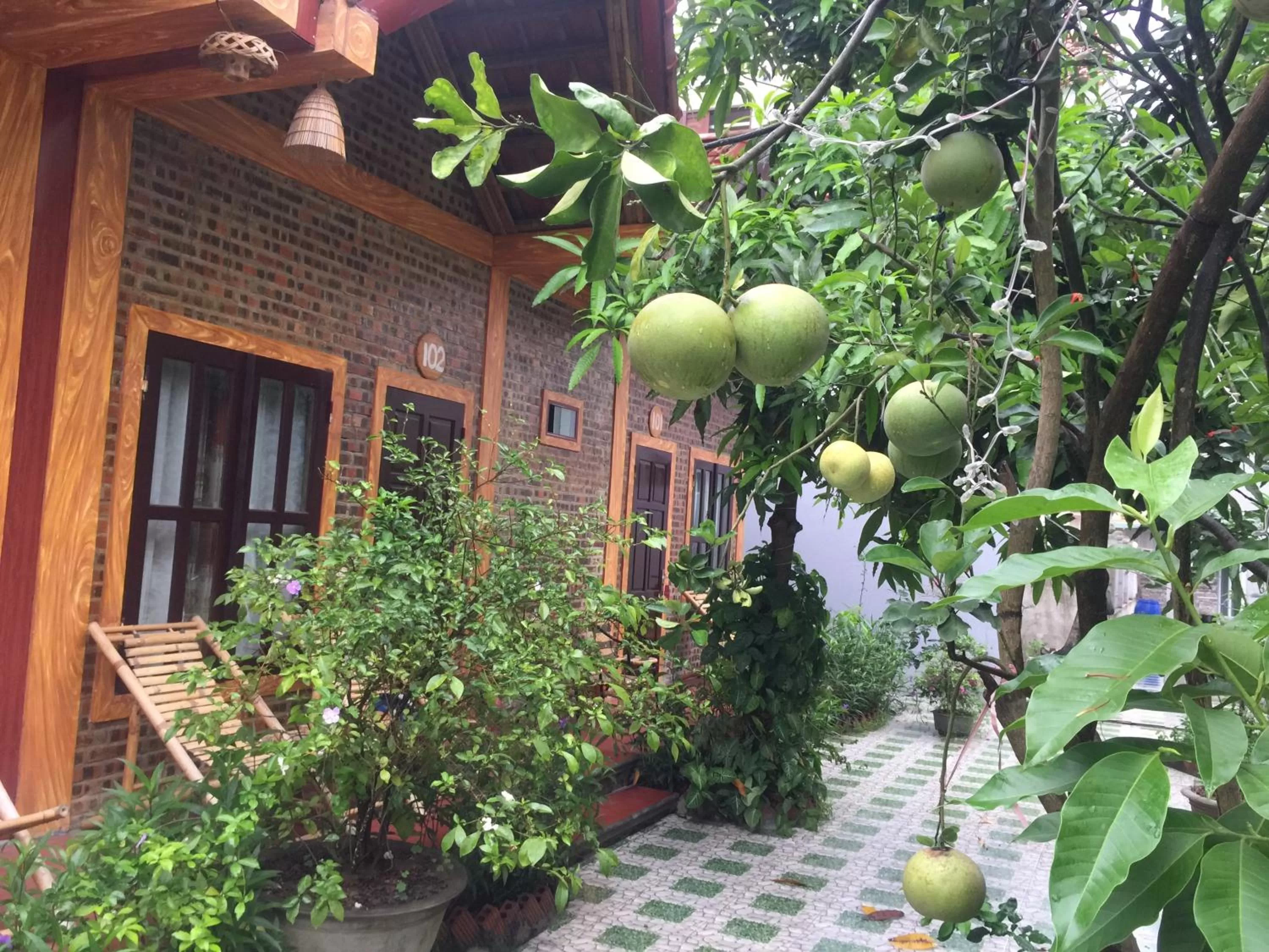 Property building in Tam Coc Vinh Thinh Homestay