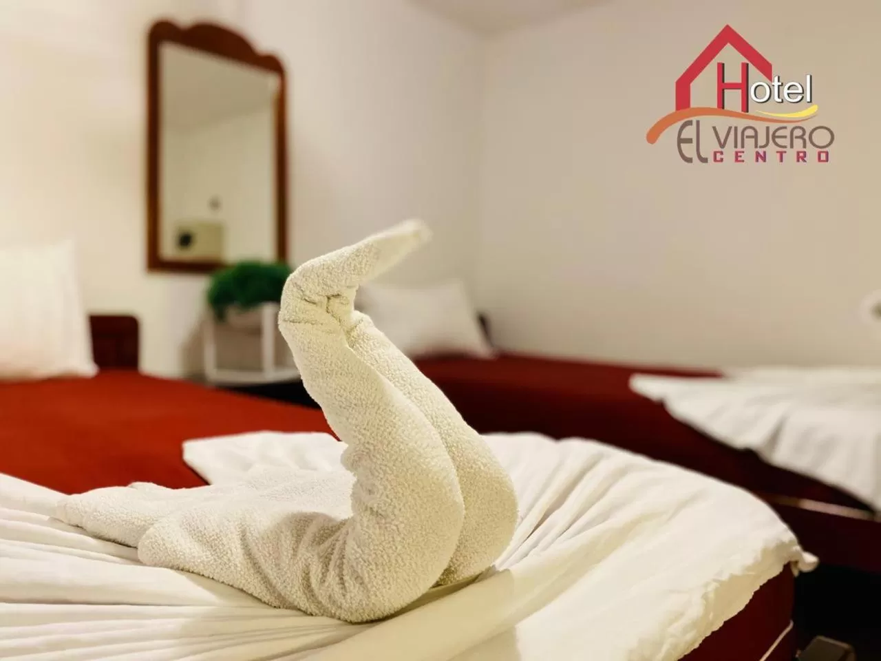 Bed in Hotel El Viajero Centro