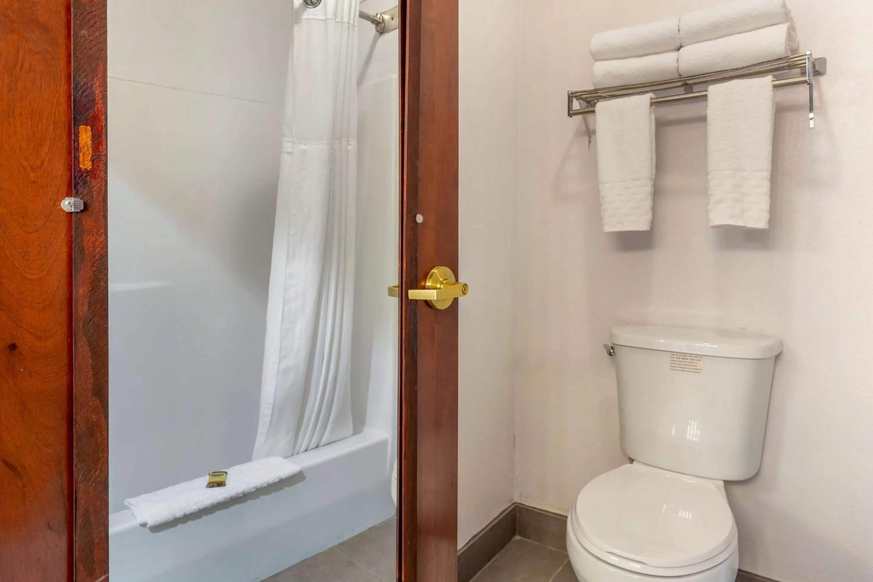 Bathroom in Best Western Plus South Hill Inn