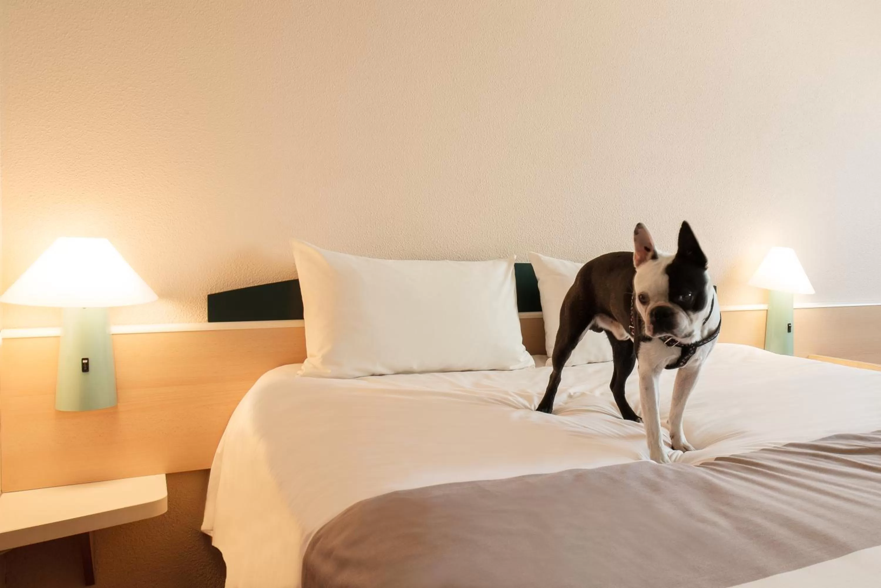 Bed in Hotel Ibis Łódź Centrum