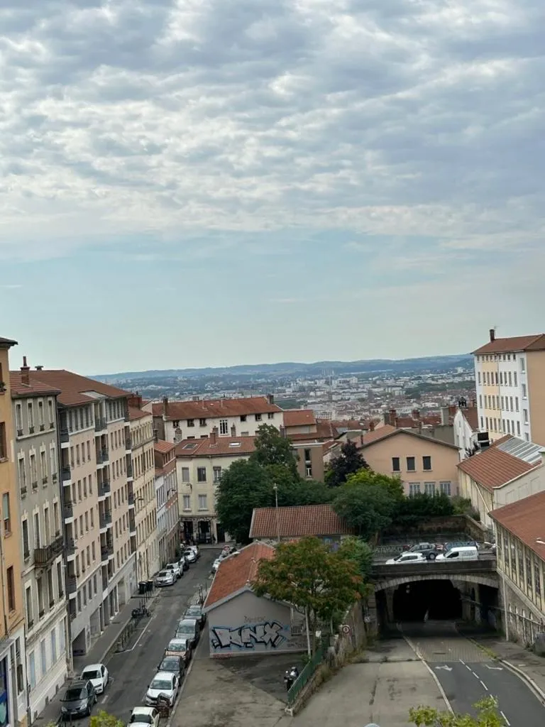 City view in Hôtel de la Croix-Rousse