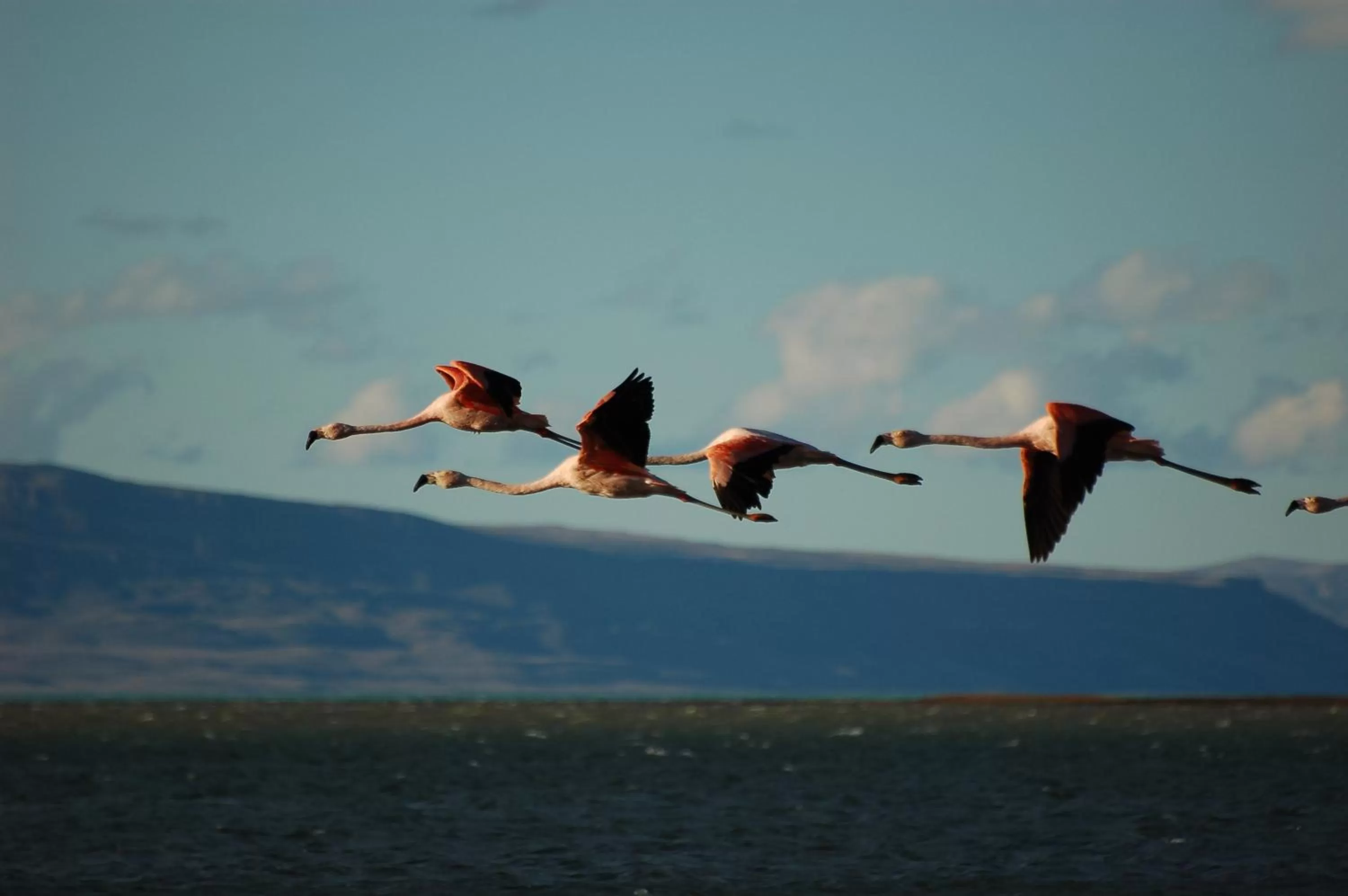 Area and facilities in Hosteria Cauquenes De Nimez