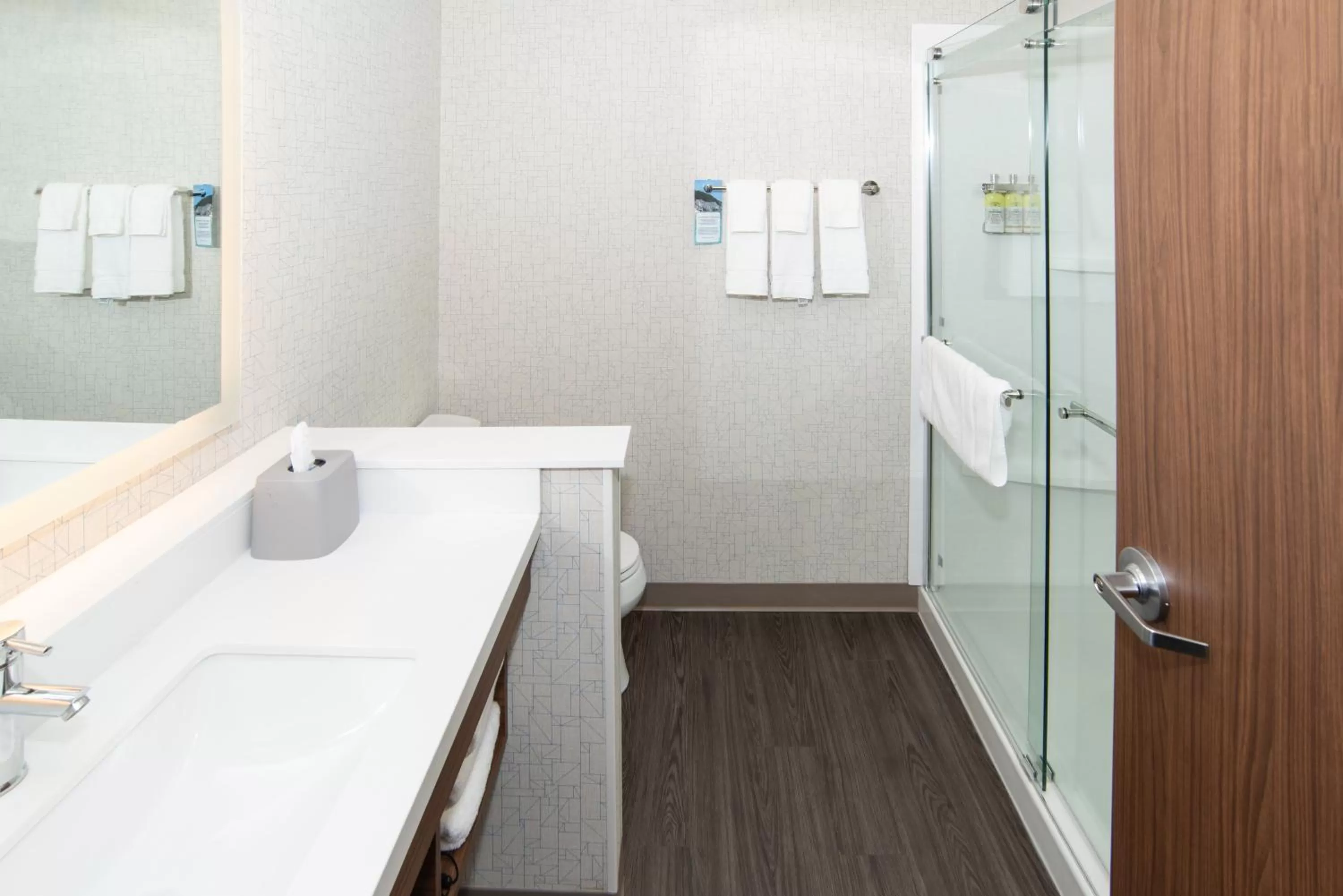Bathroom in Holiday Inn Express & Suites - North Battleford by IHG