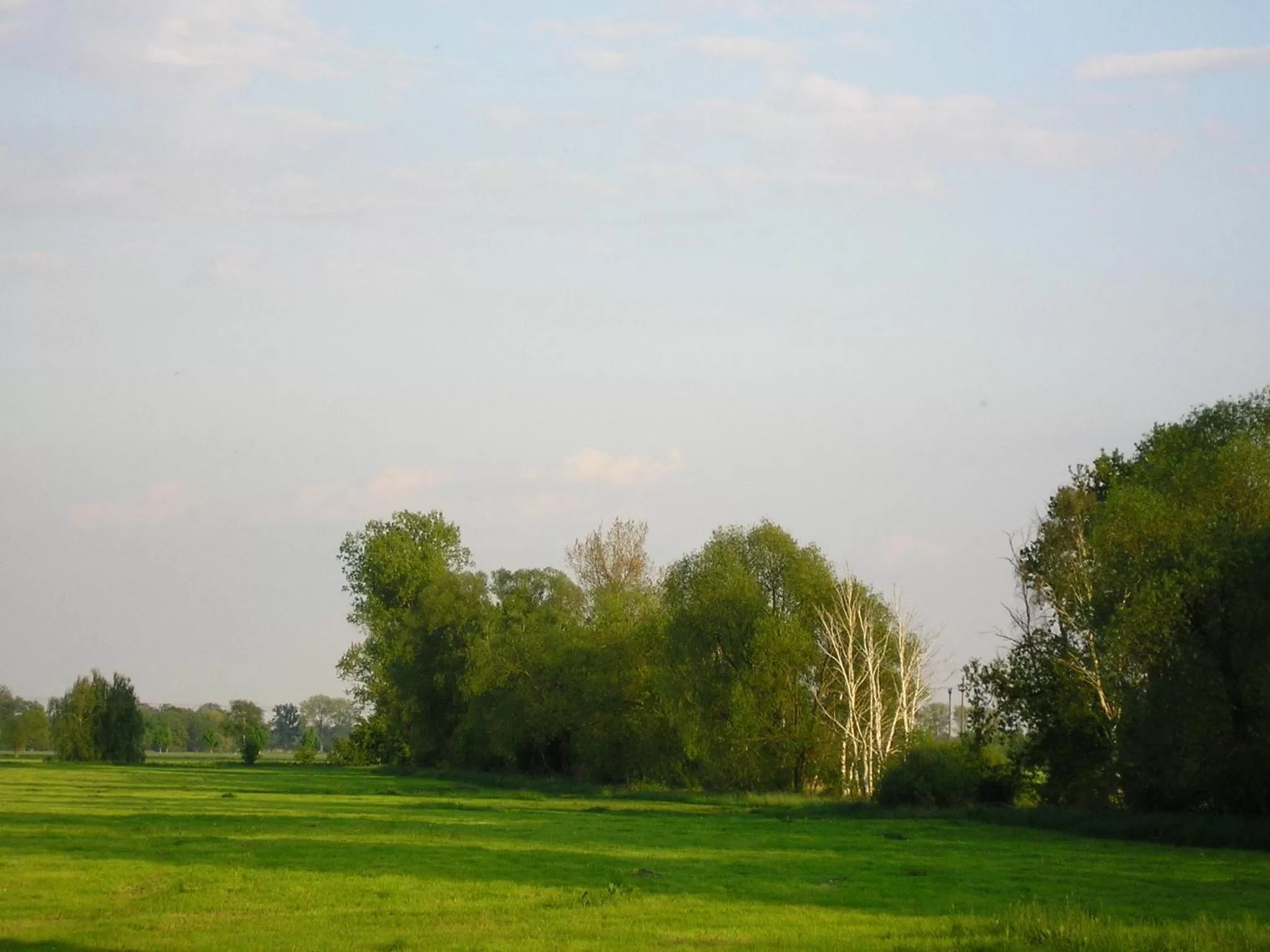 Other in Parkhotel Schönewalde