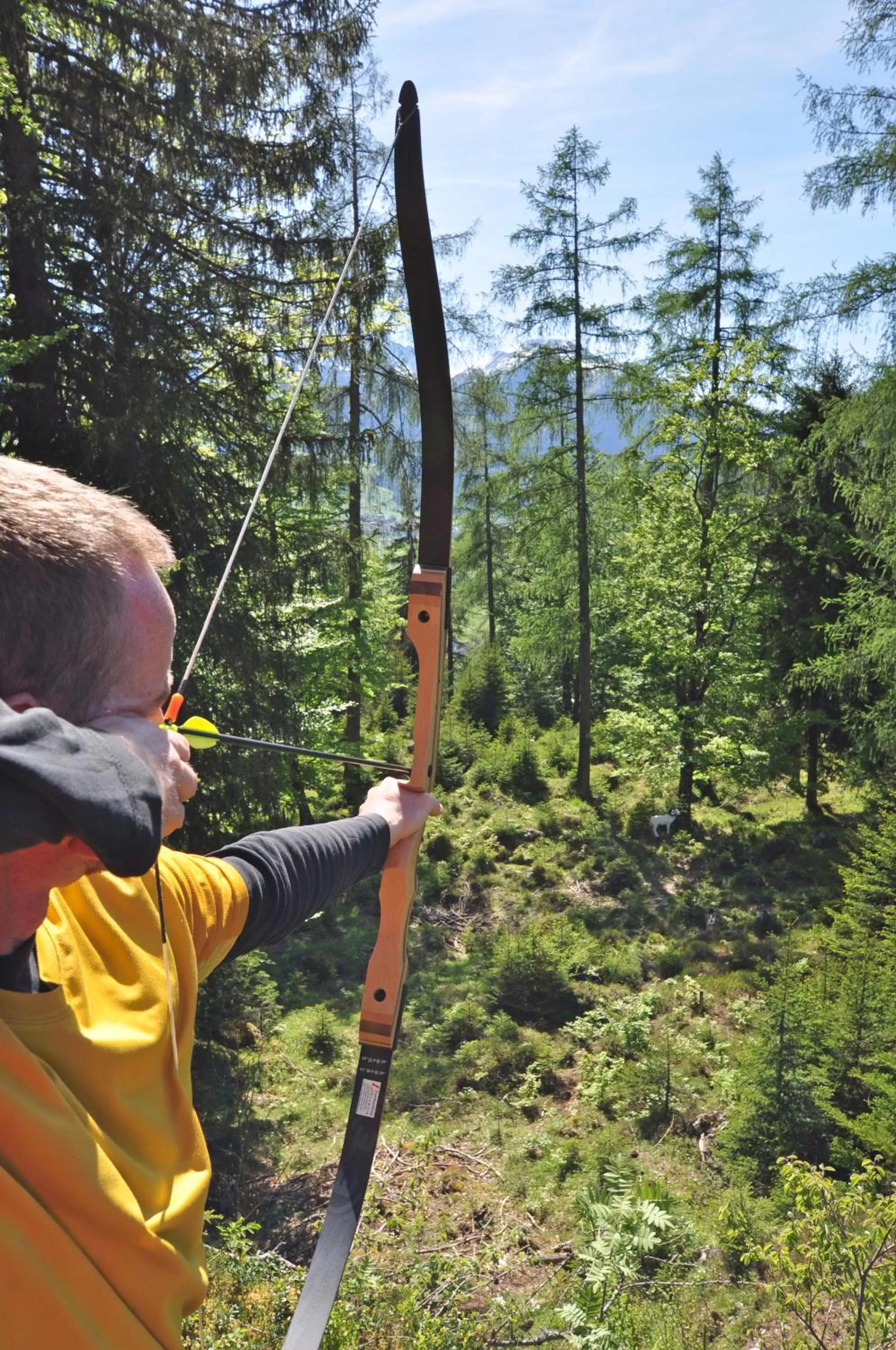 Sports in Hotel Alpen Residence