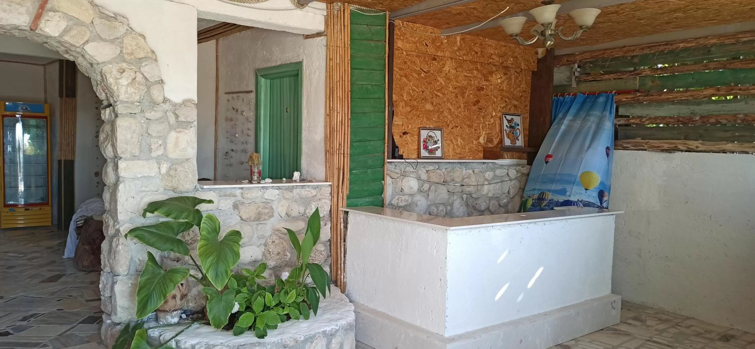 Maxola's Dream Orikum