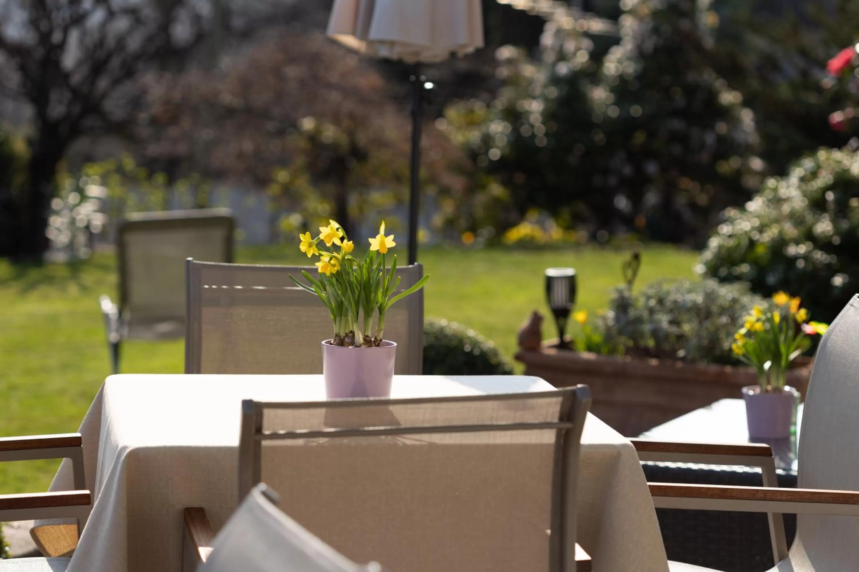 Balcony/Terrace in Residence Margreth