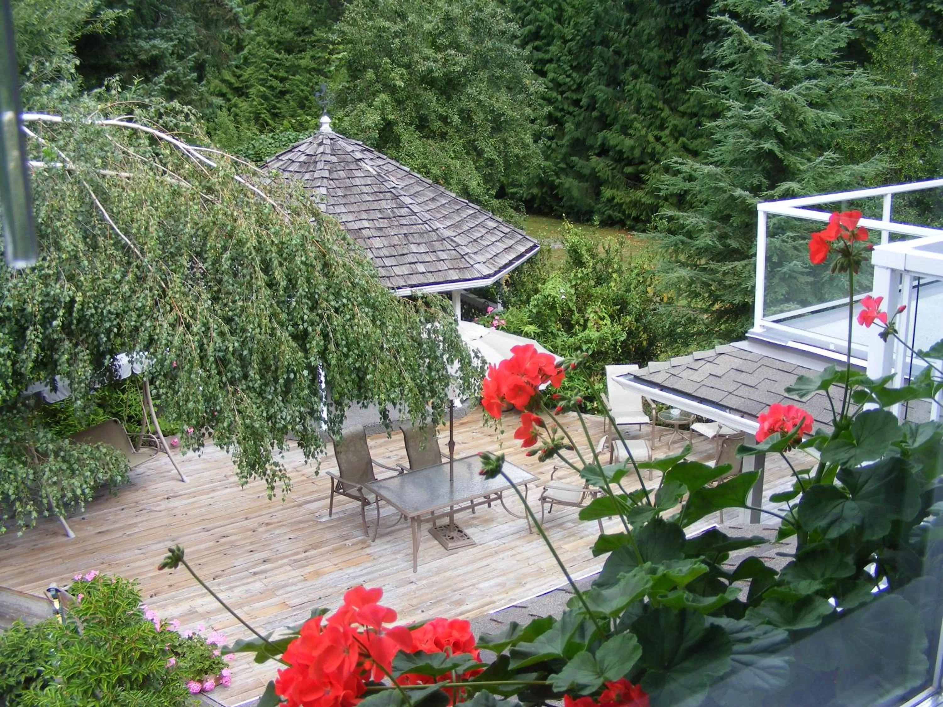 Patio in Hummingbird Guesthouse