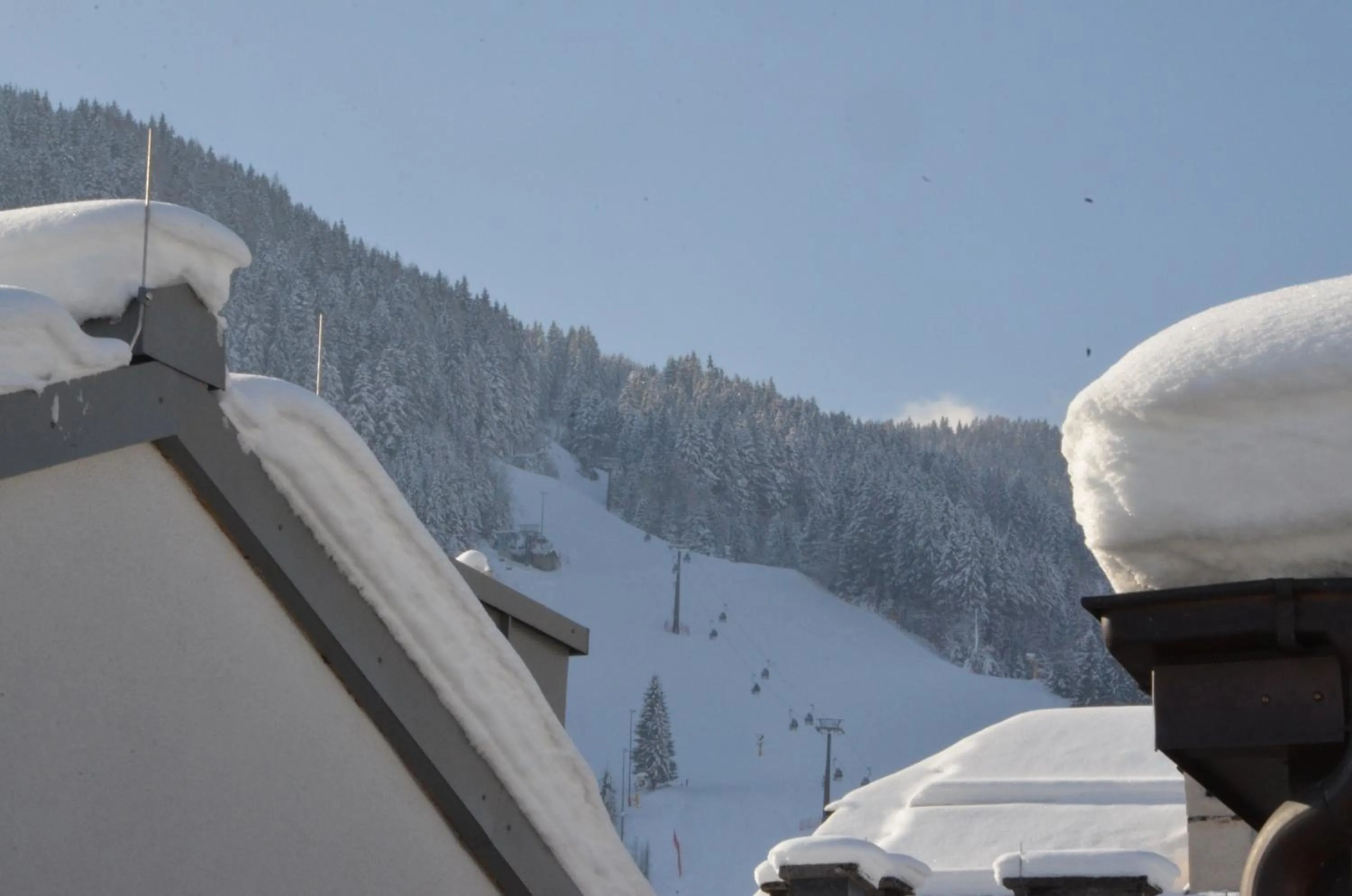 Skiing in Hotel Traube