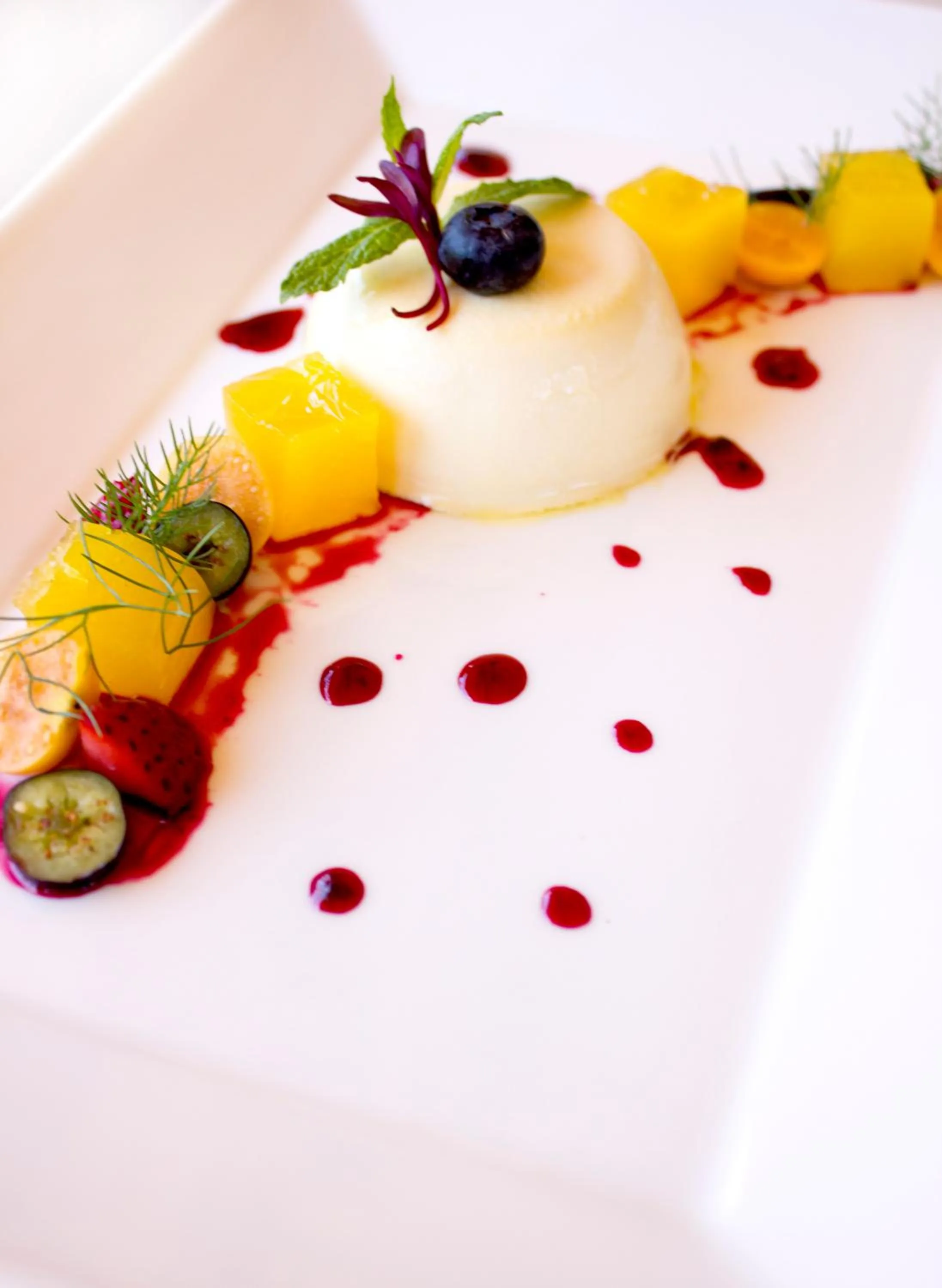 Food close-up in Sanbona Wildlife Reserve