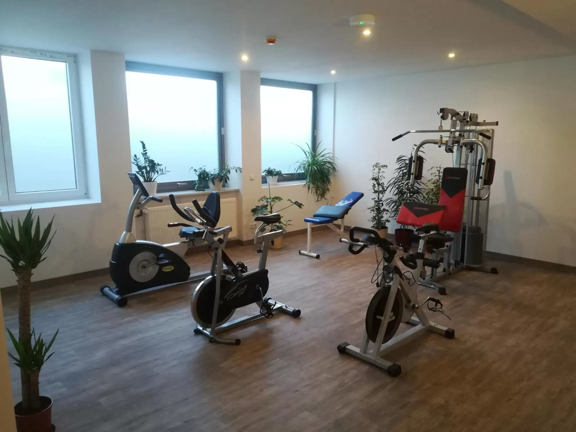 Fitness centre/facilities in Ruhr Inn Hotel