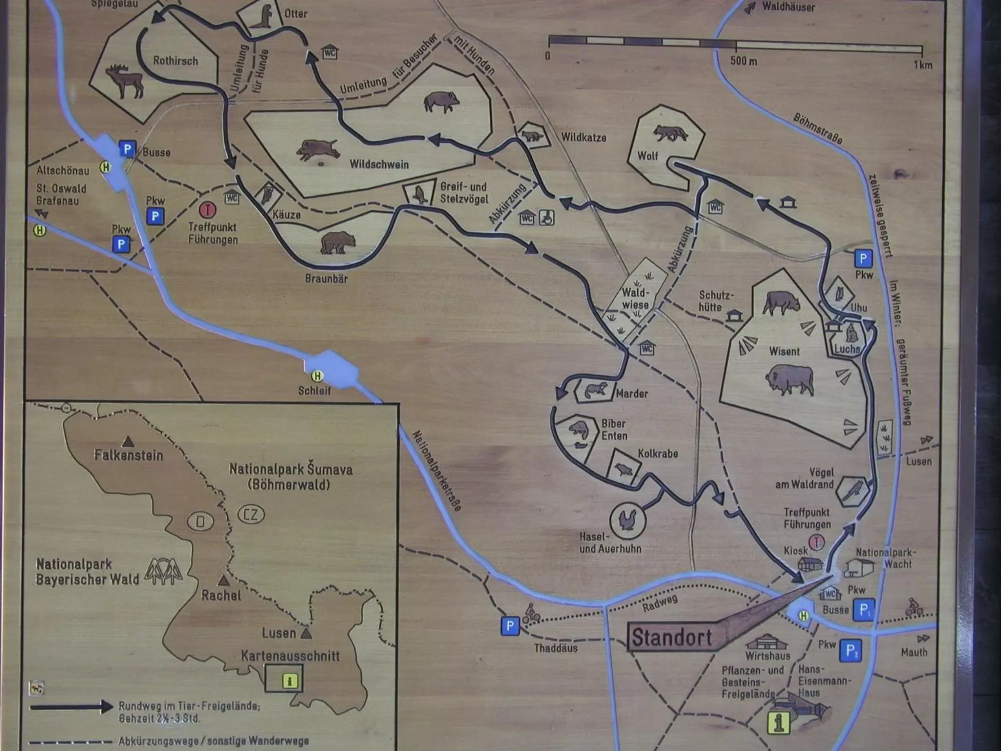 Area and facilities in Vitalesca