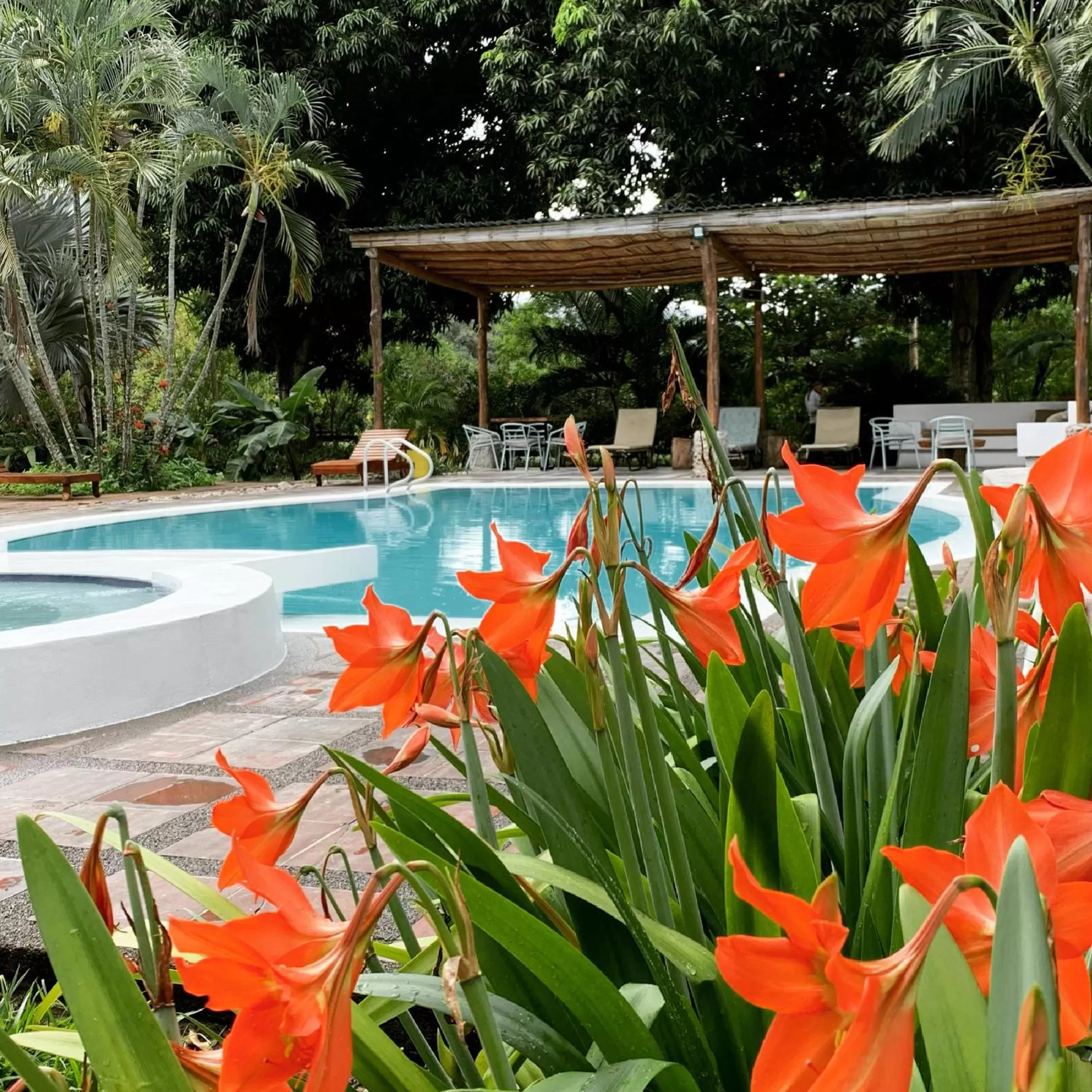 Pool view in Waka Hotel Rural