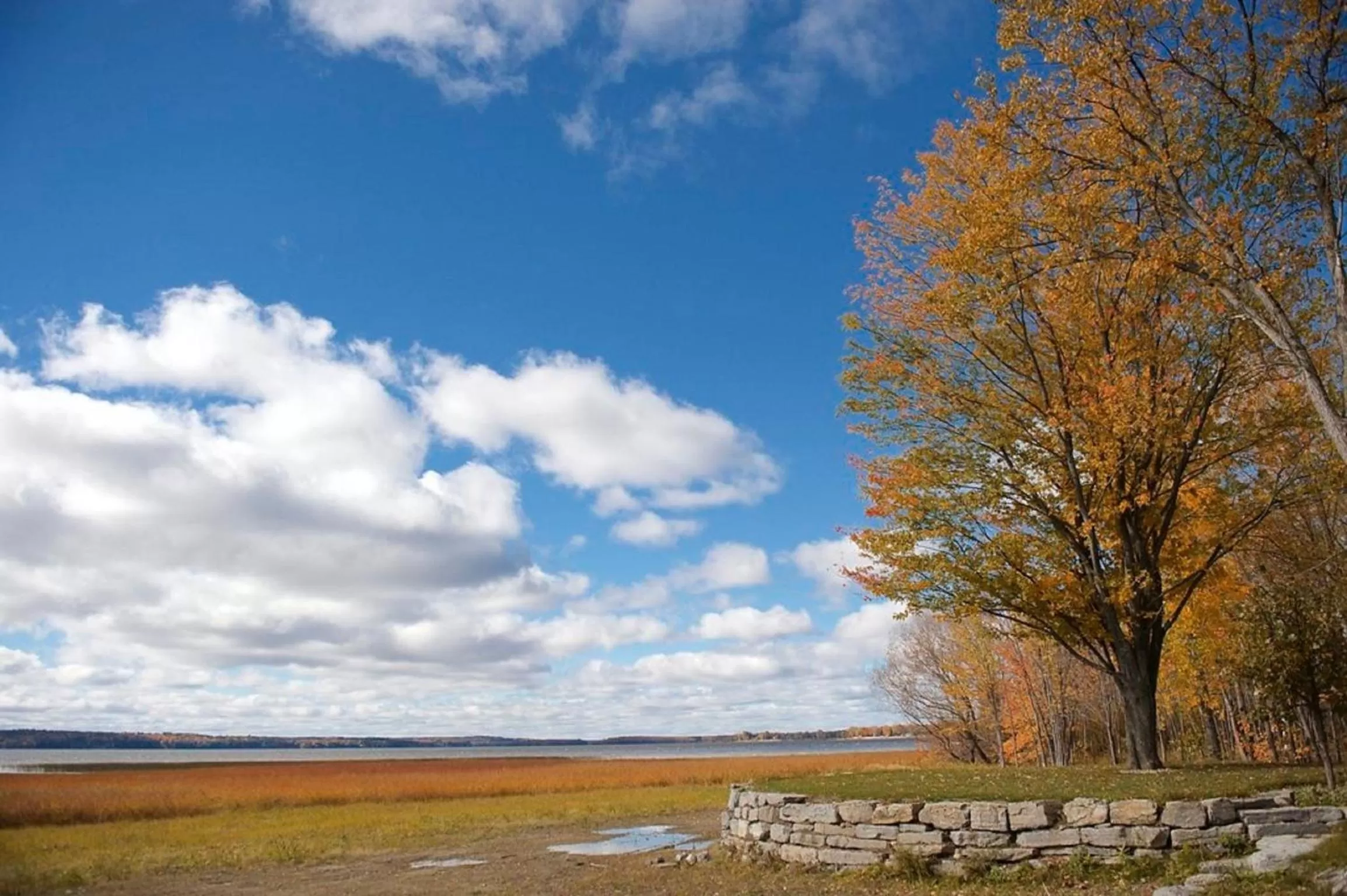 Natural landscape in Gite O'bordeleau