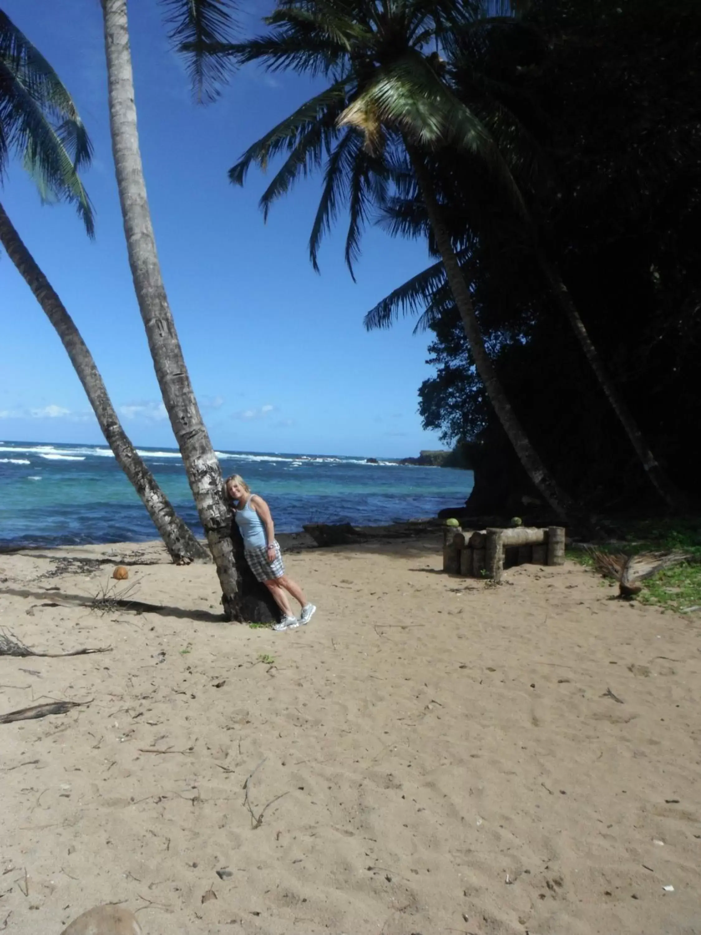 Suite in Classique International in Dominica Suite in Classique International in Dominica