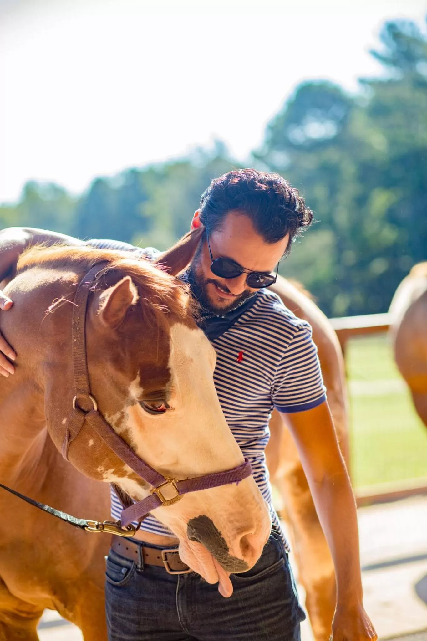 Southern Cross Guest Ranch