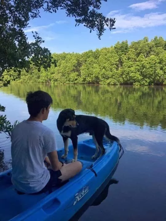 Sanctuaria Treehouses Busuanga