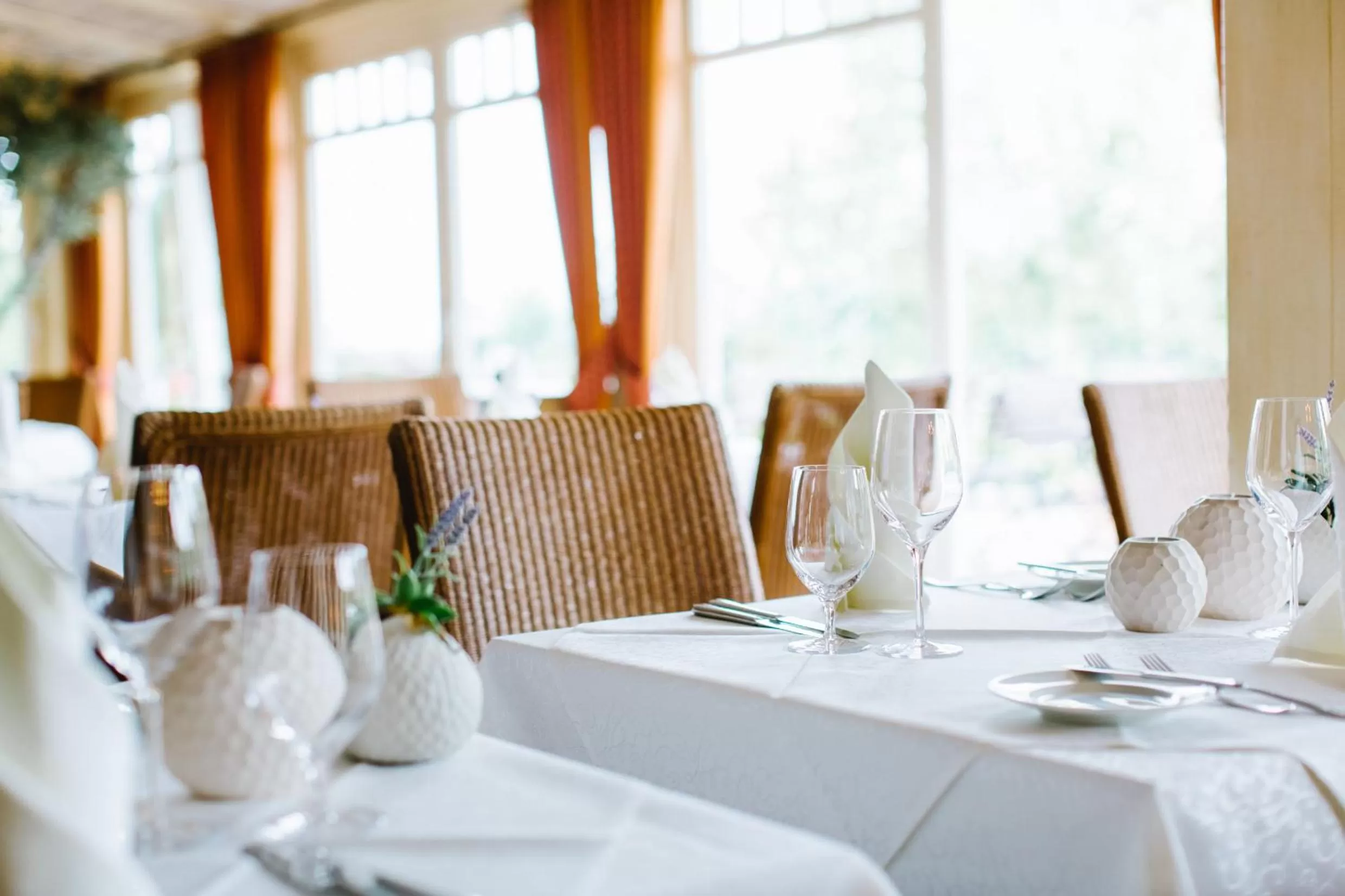 Restaurant/places to eat in REGIOHOTEL Naturresort Ilsenburg