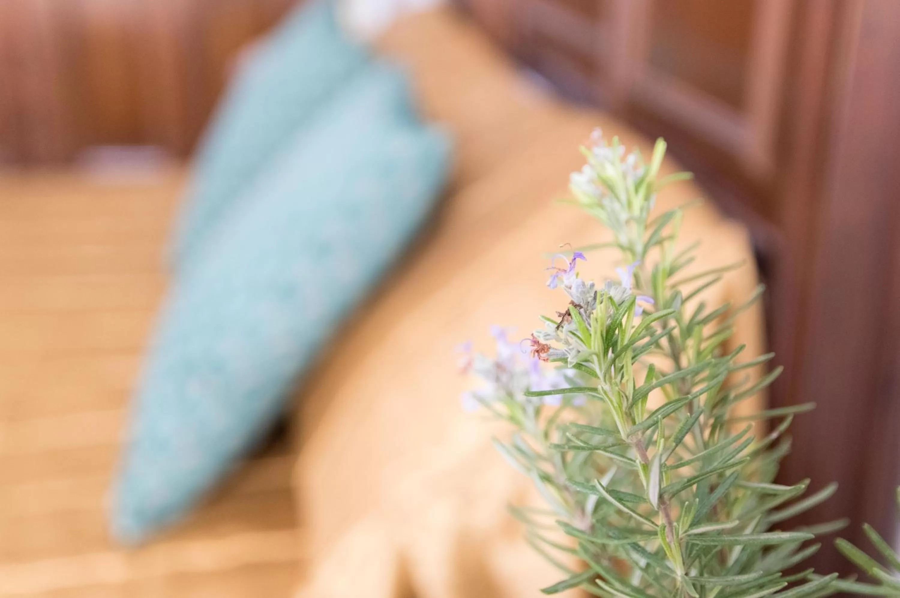 Decorative detail in Boutique house LujoPobre