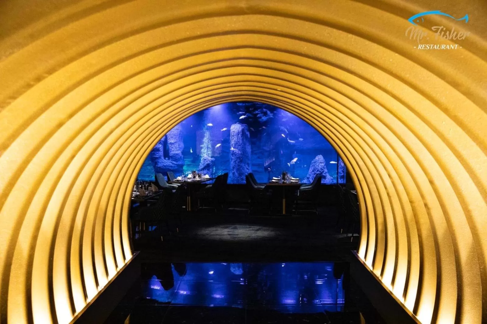 Restaurant/places to eat, Pool View in Hotel Diamond Prishtina