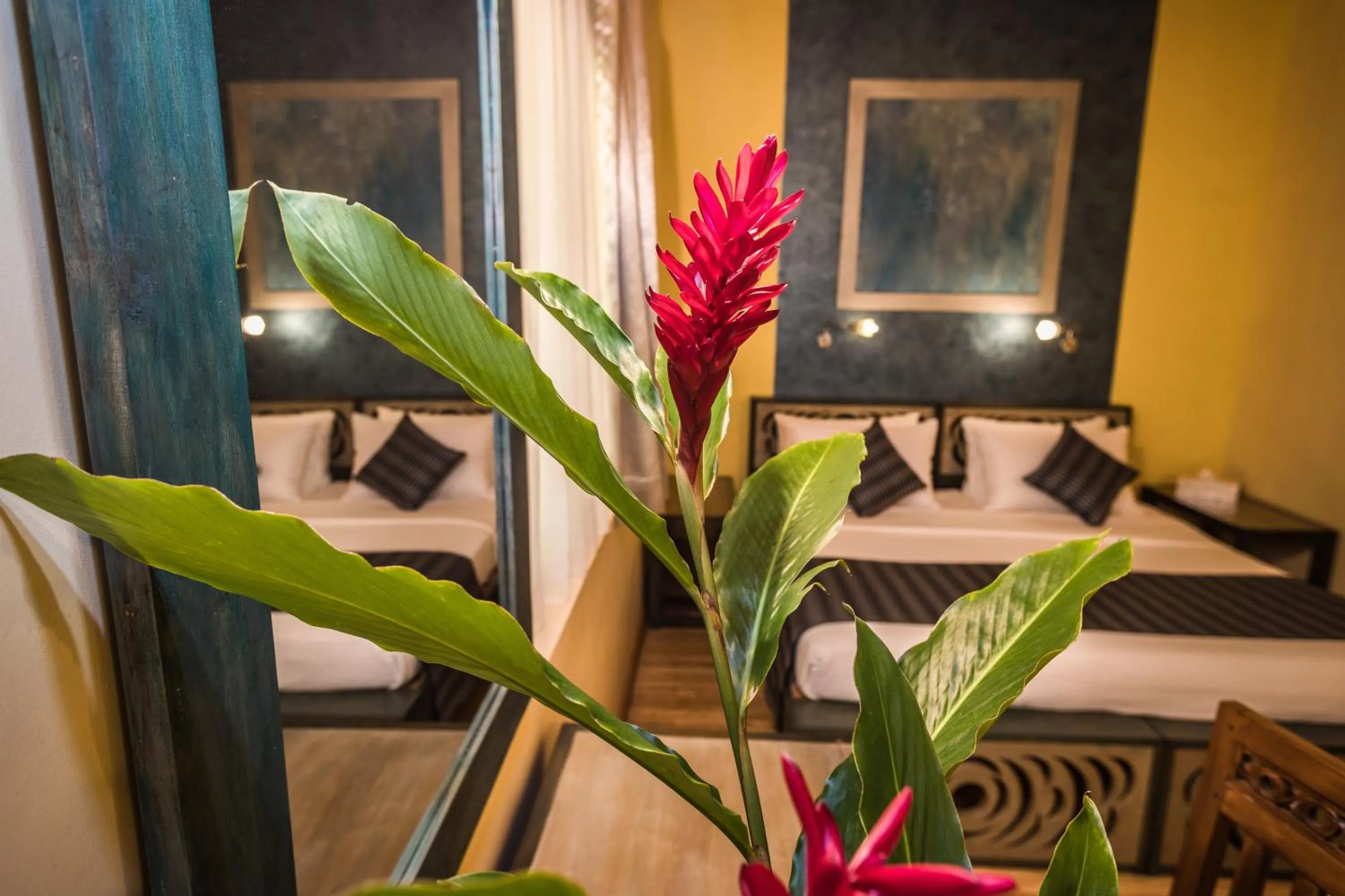 Bedroom, Bed in Yasmin Hill Longevity Oasis