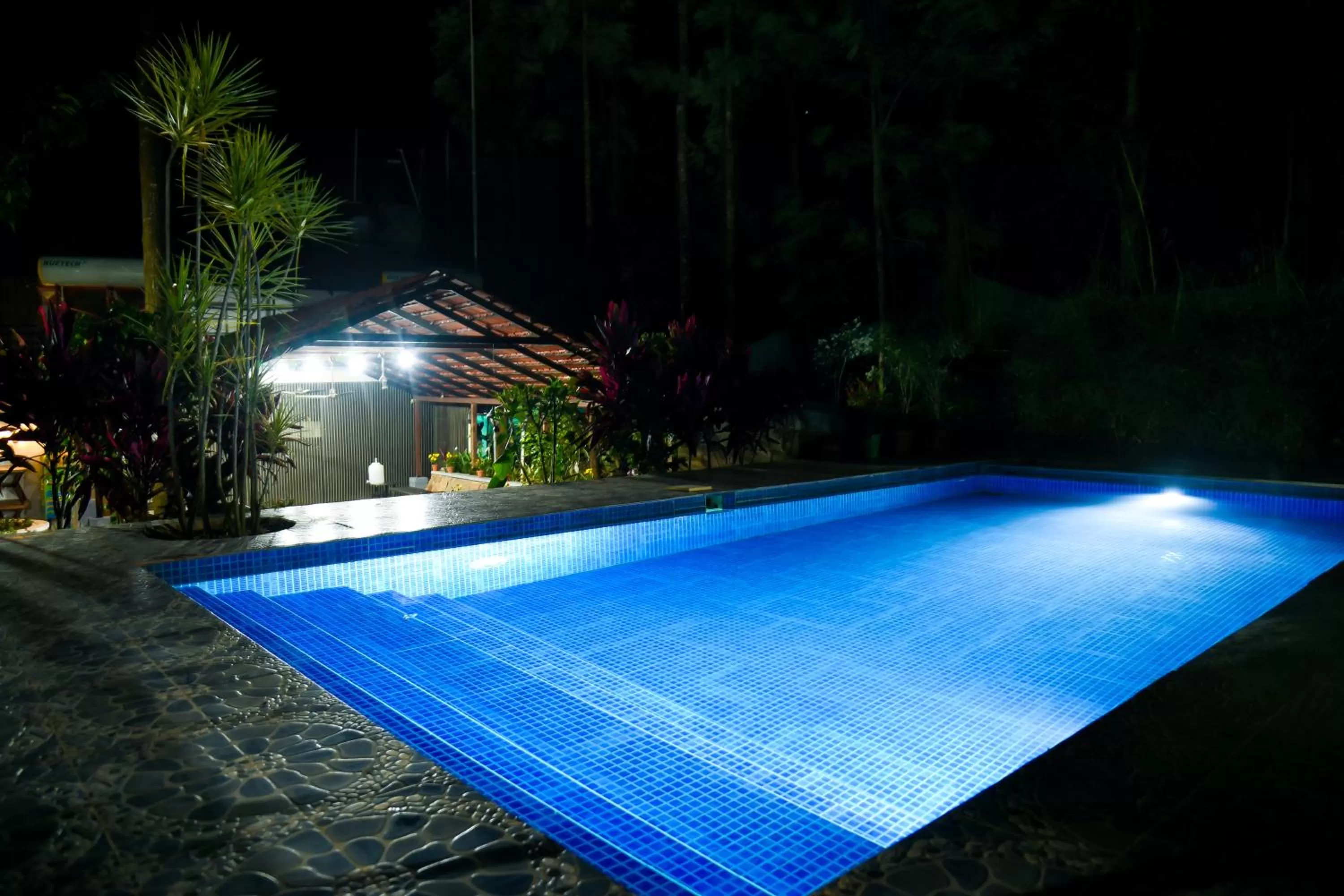 Swimming pool in The Spectrum Resort - Chikmagalur