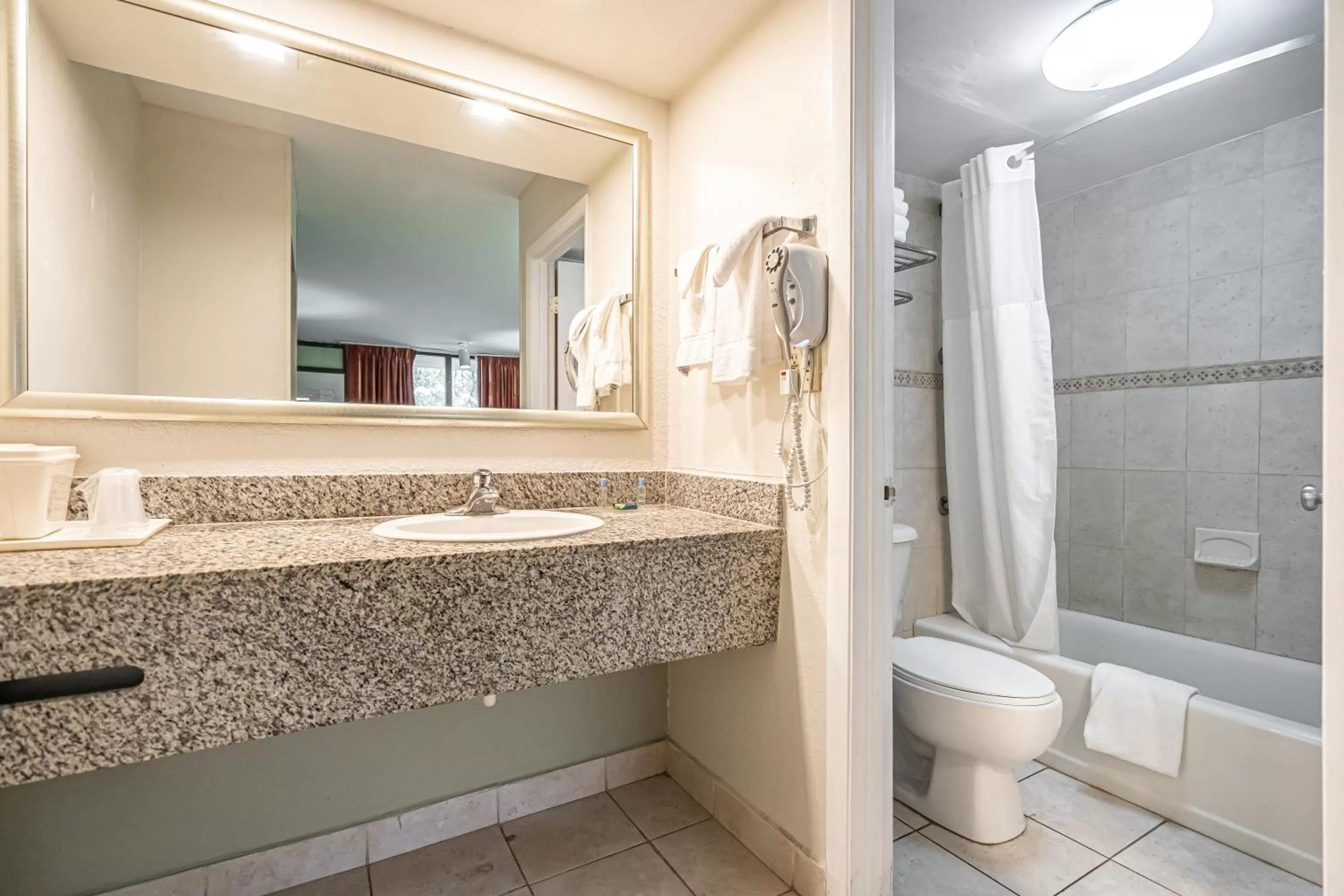 Toilet in Hotolos Hollywood