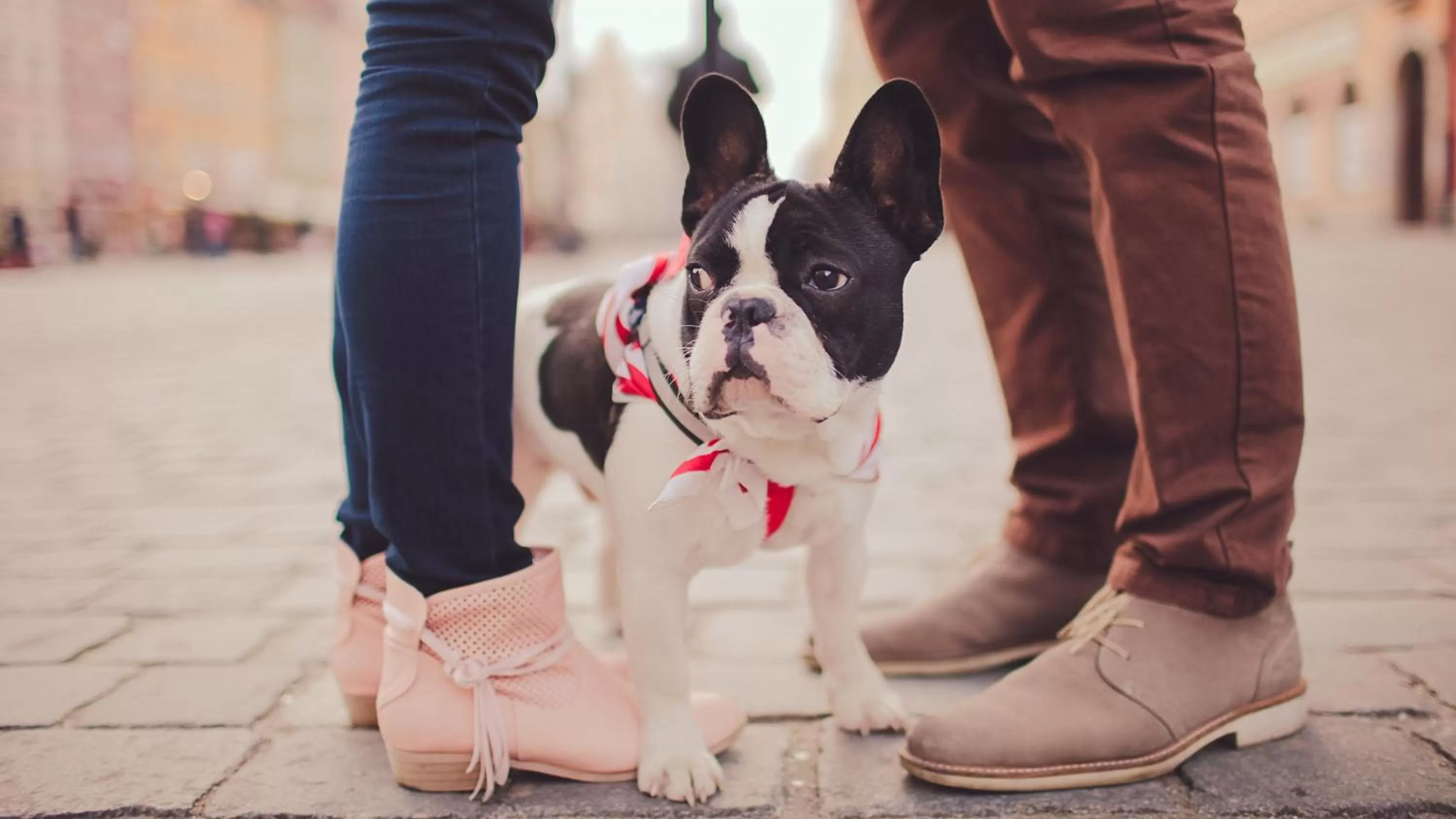 Other in Hotel Indigo Atlanta Vinings by IHG