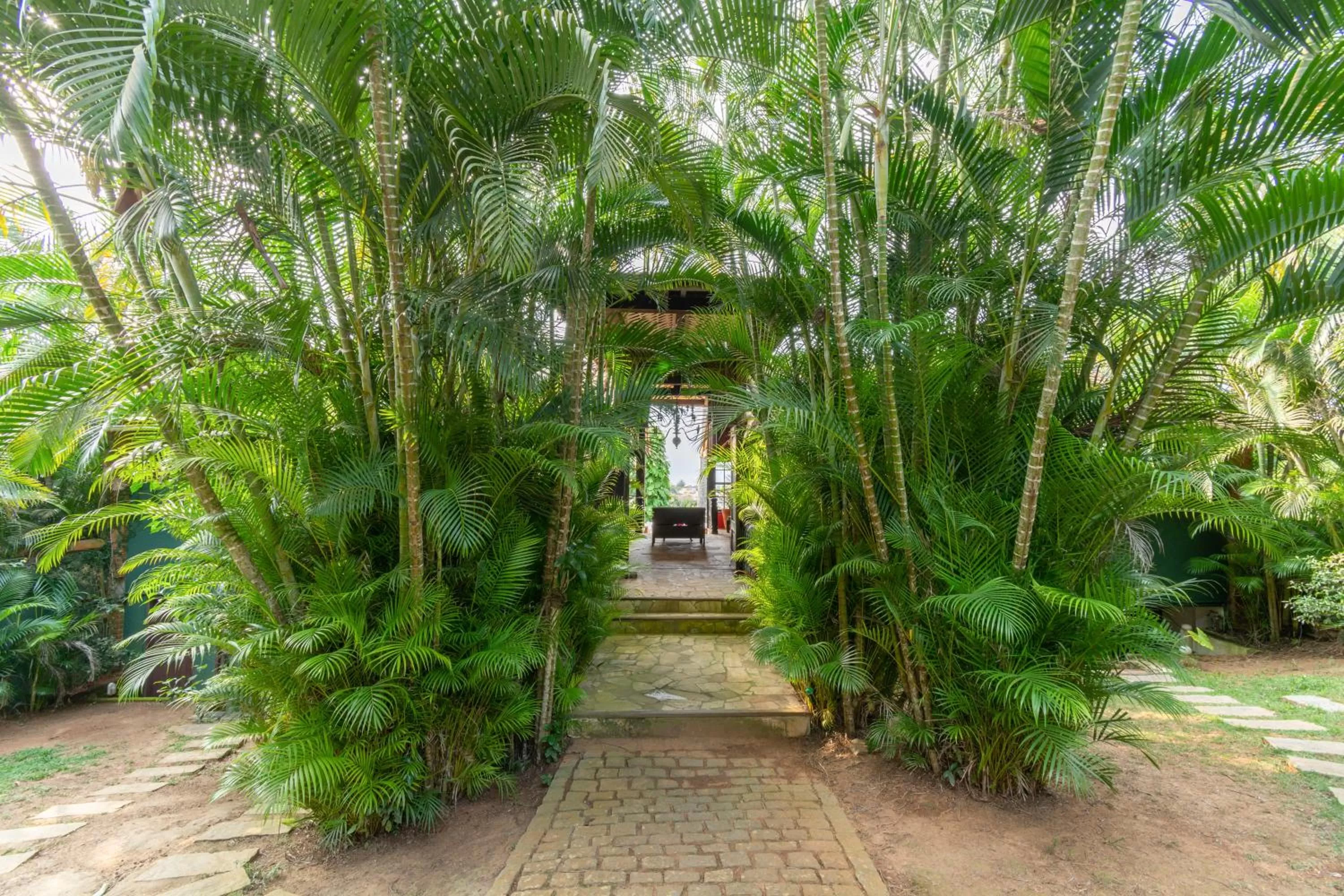 Garden in Pousada Afrika