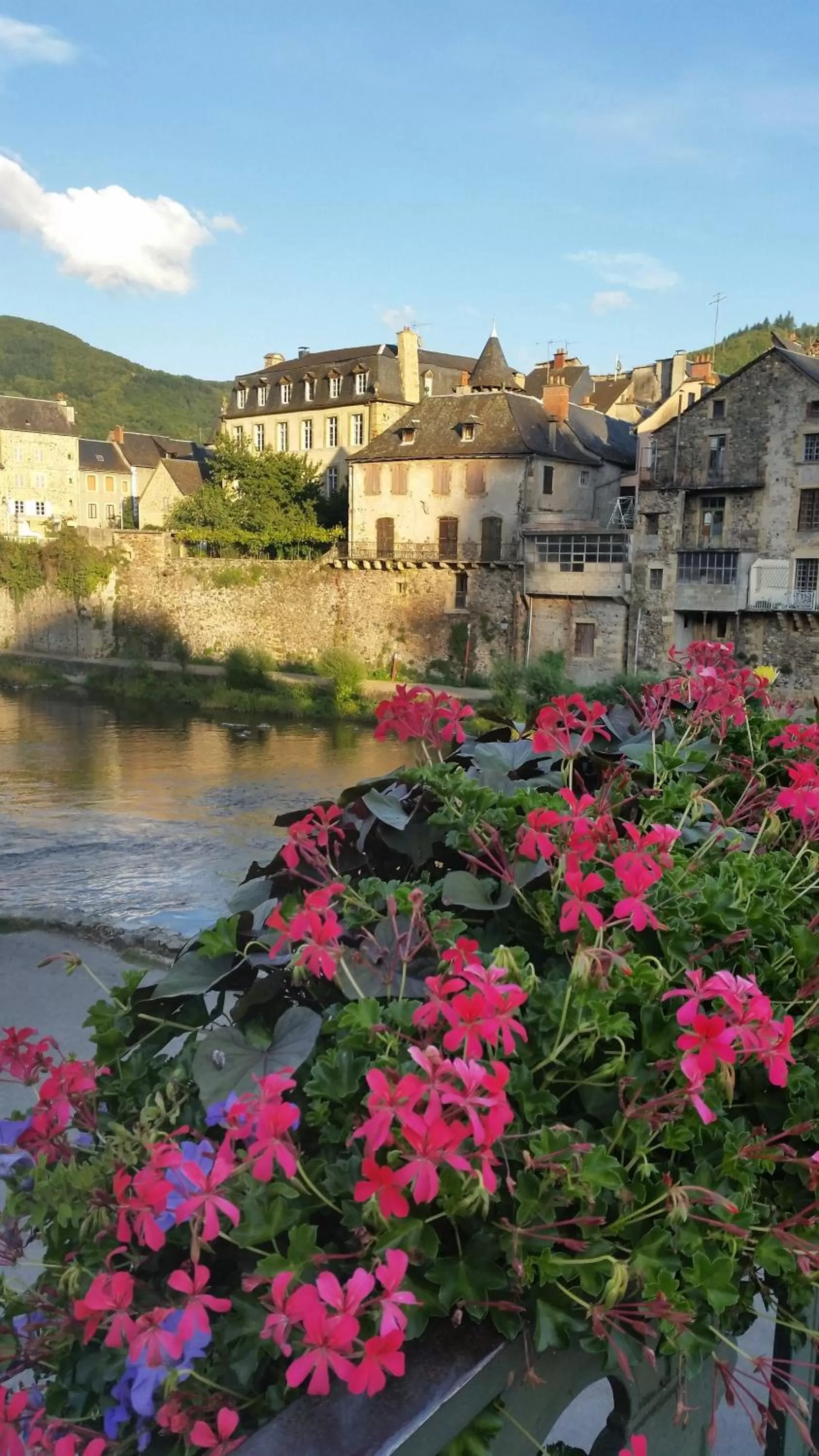 Neighbourhood in Chateau Ricard