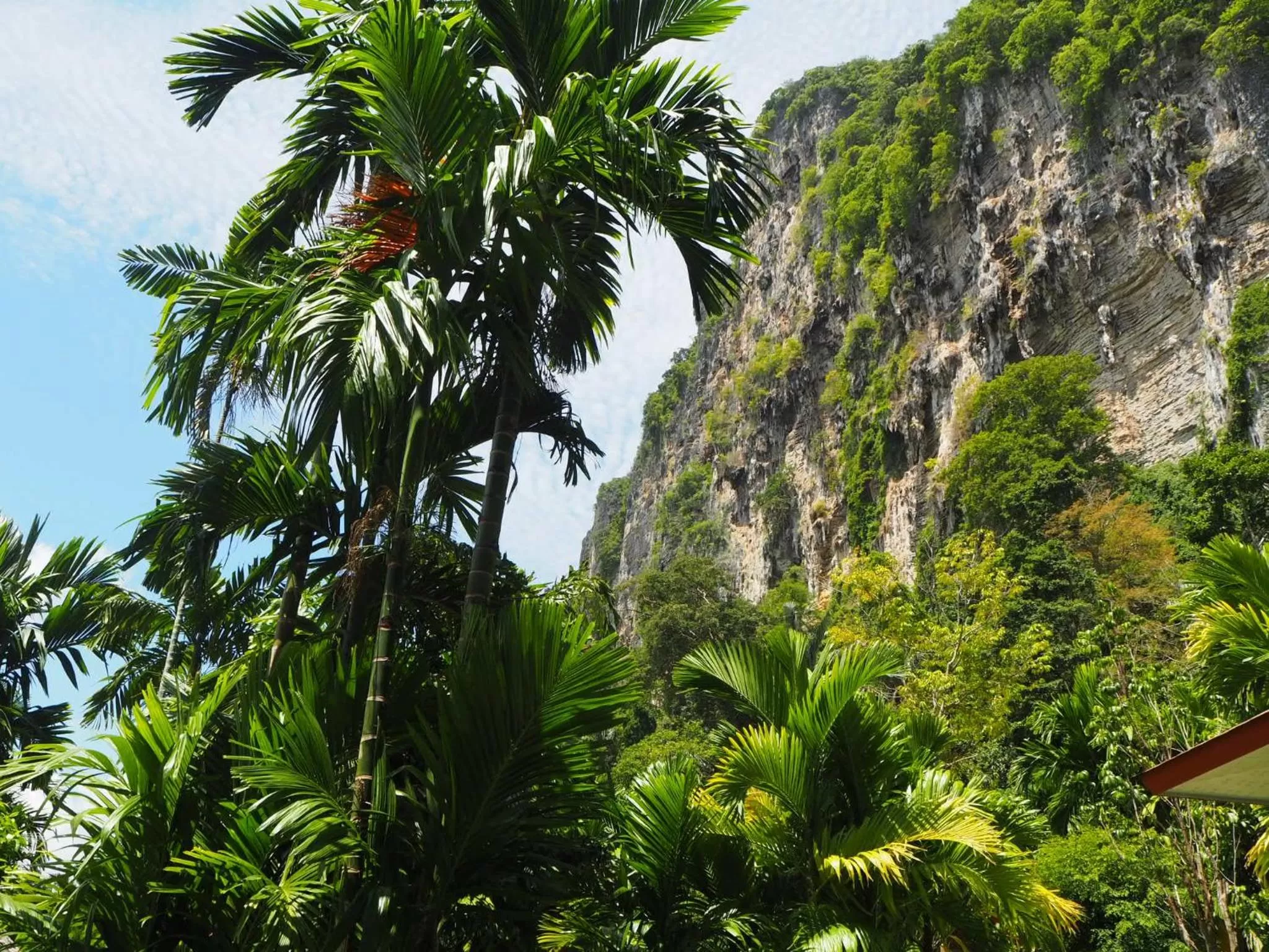 Garden in Vipa Tropical Resort