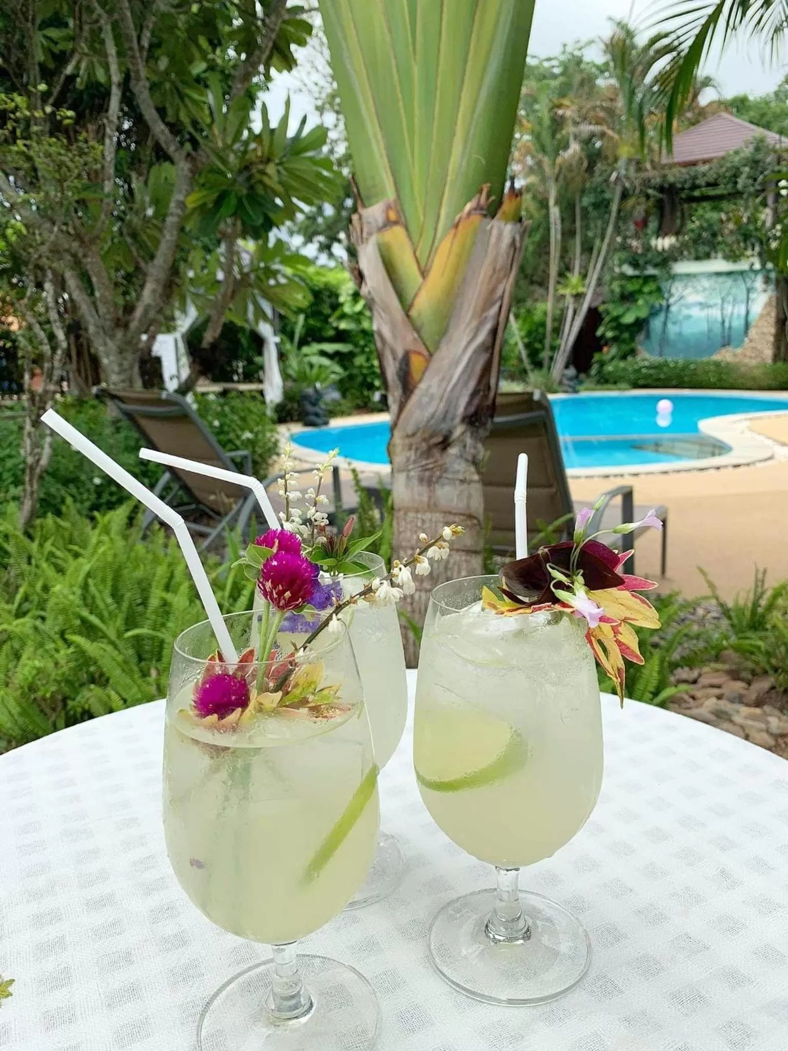 Swimming pool in Homestay Chiangrai