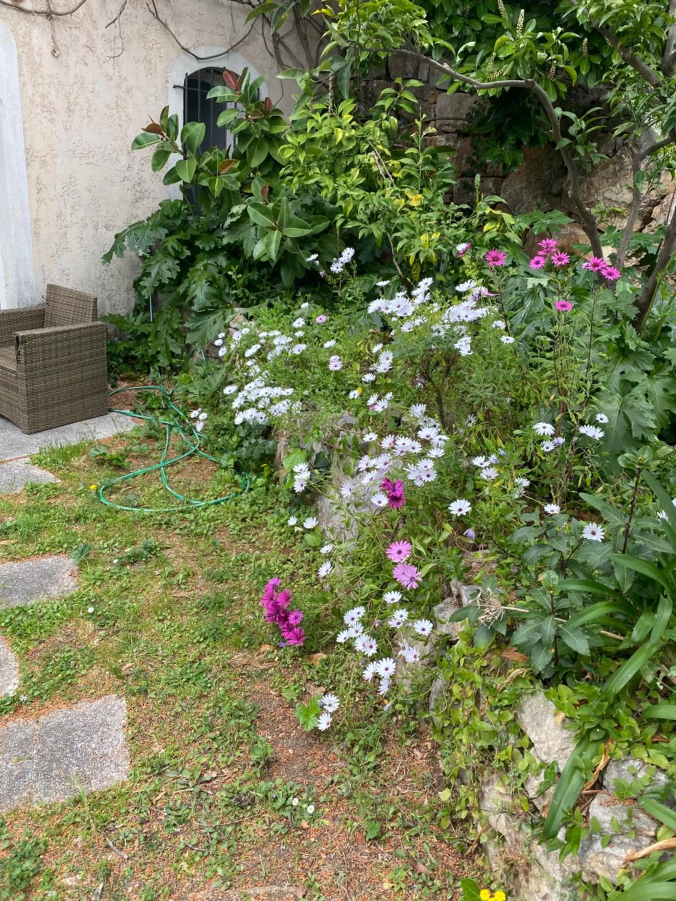 Garden view, Garden in Chambre spacieuse indépendante dans villa plus parking privée