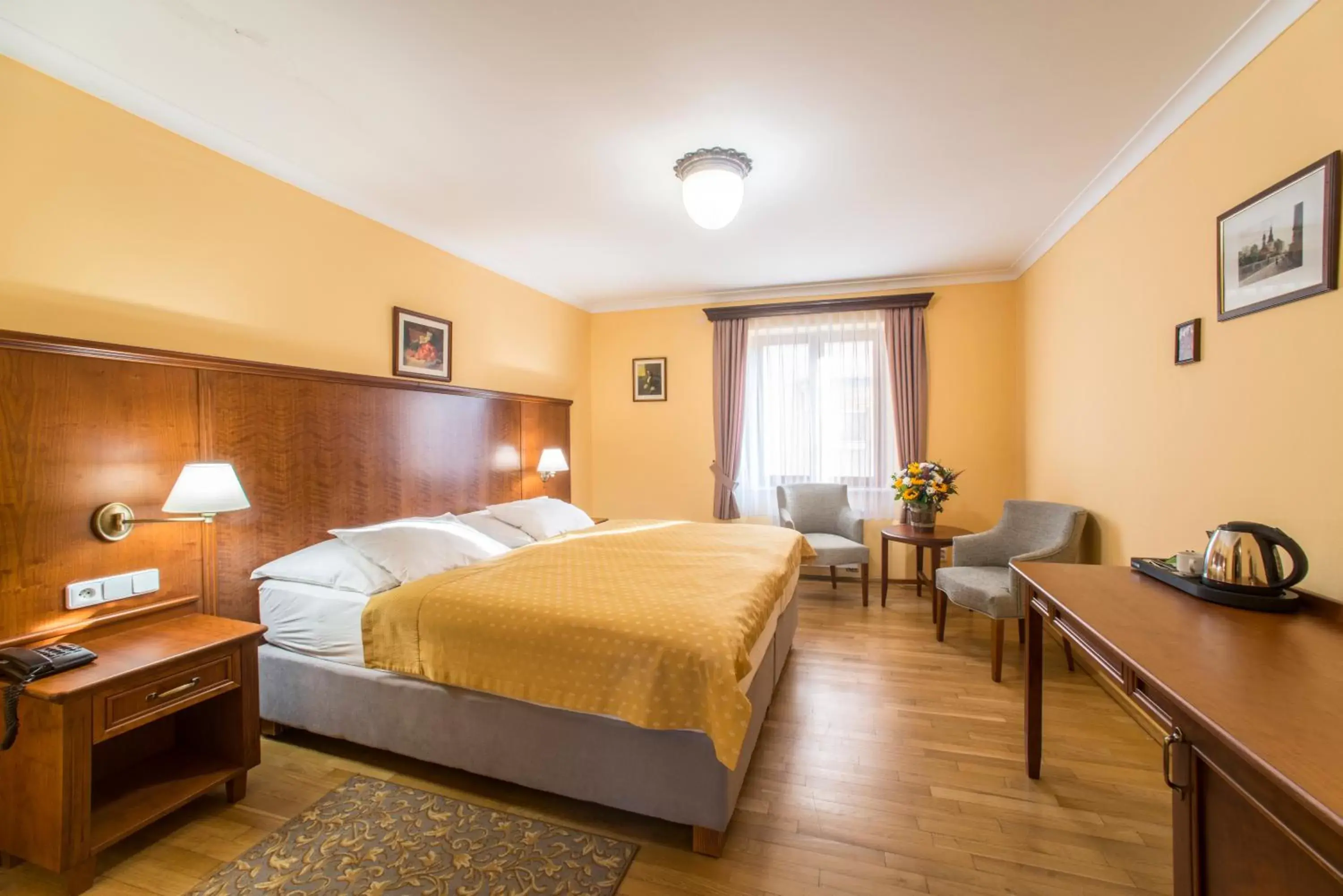 Double or Twin Room in Hotel Cerny Slon Double or Twin Room in Hotel Cerny Slon