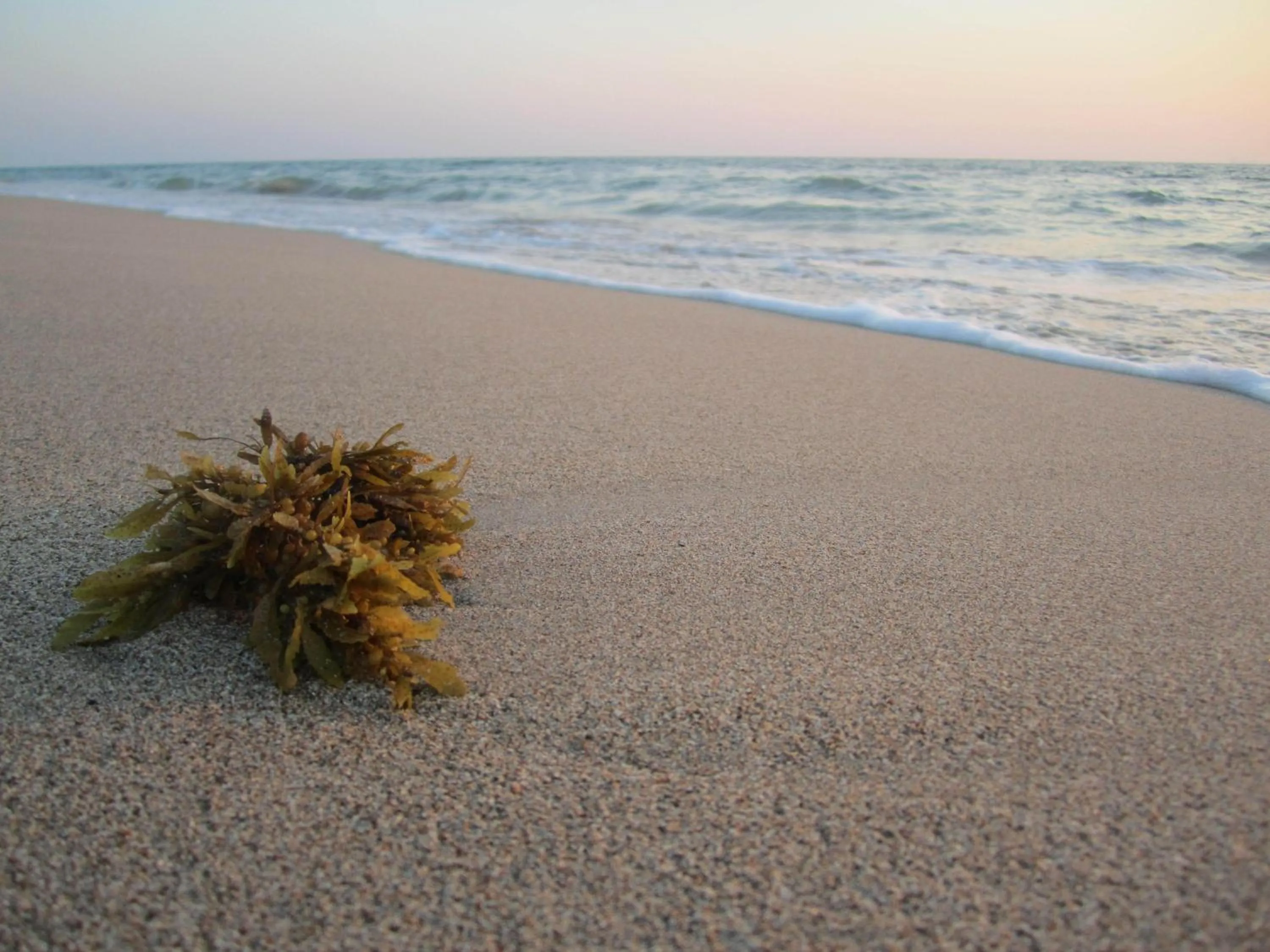 Beach in Lanta IL Mare Beach Resort