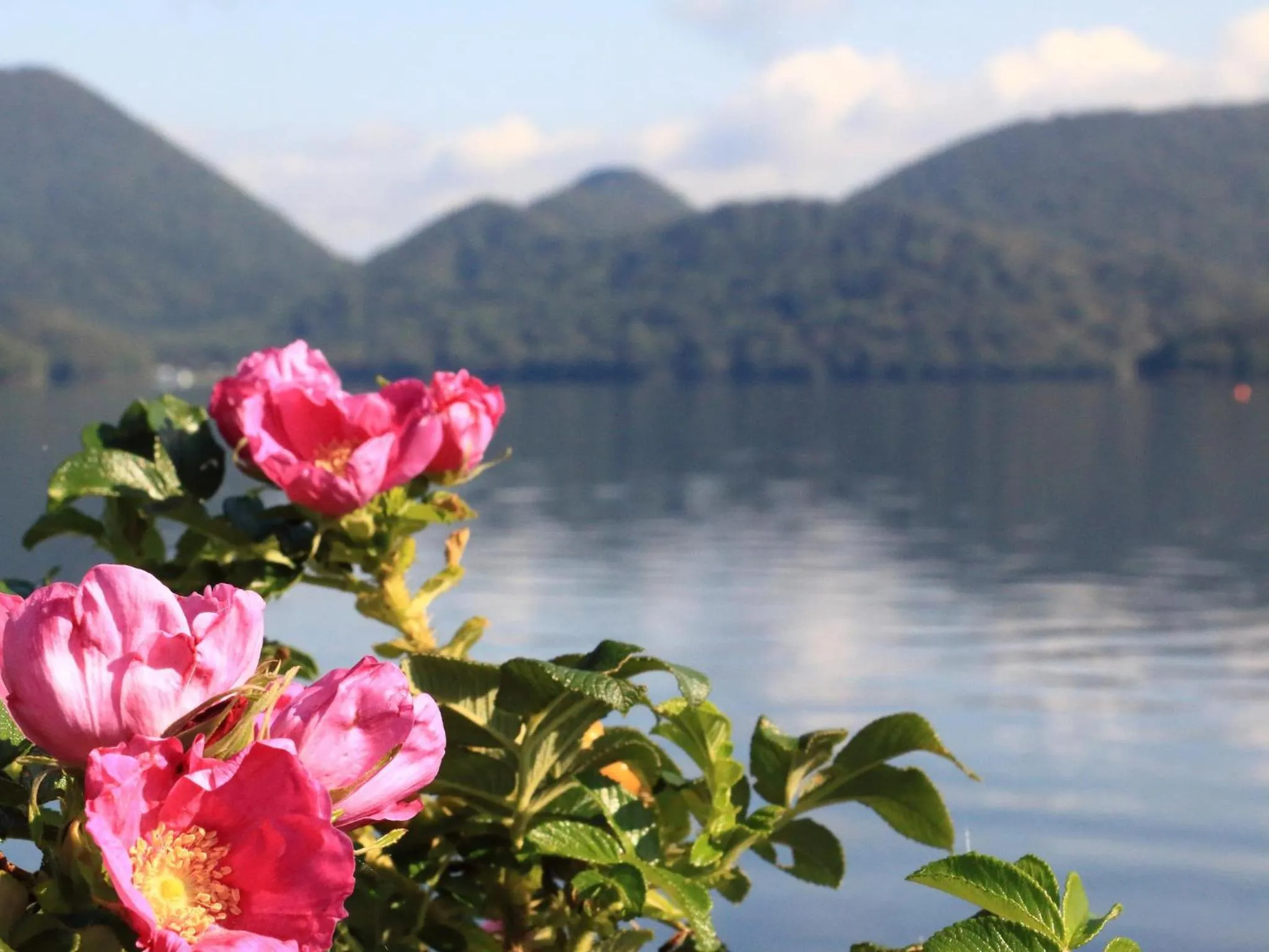 Off site in Toya Kohan Tei