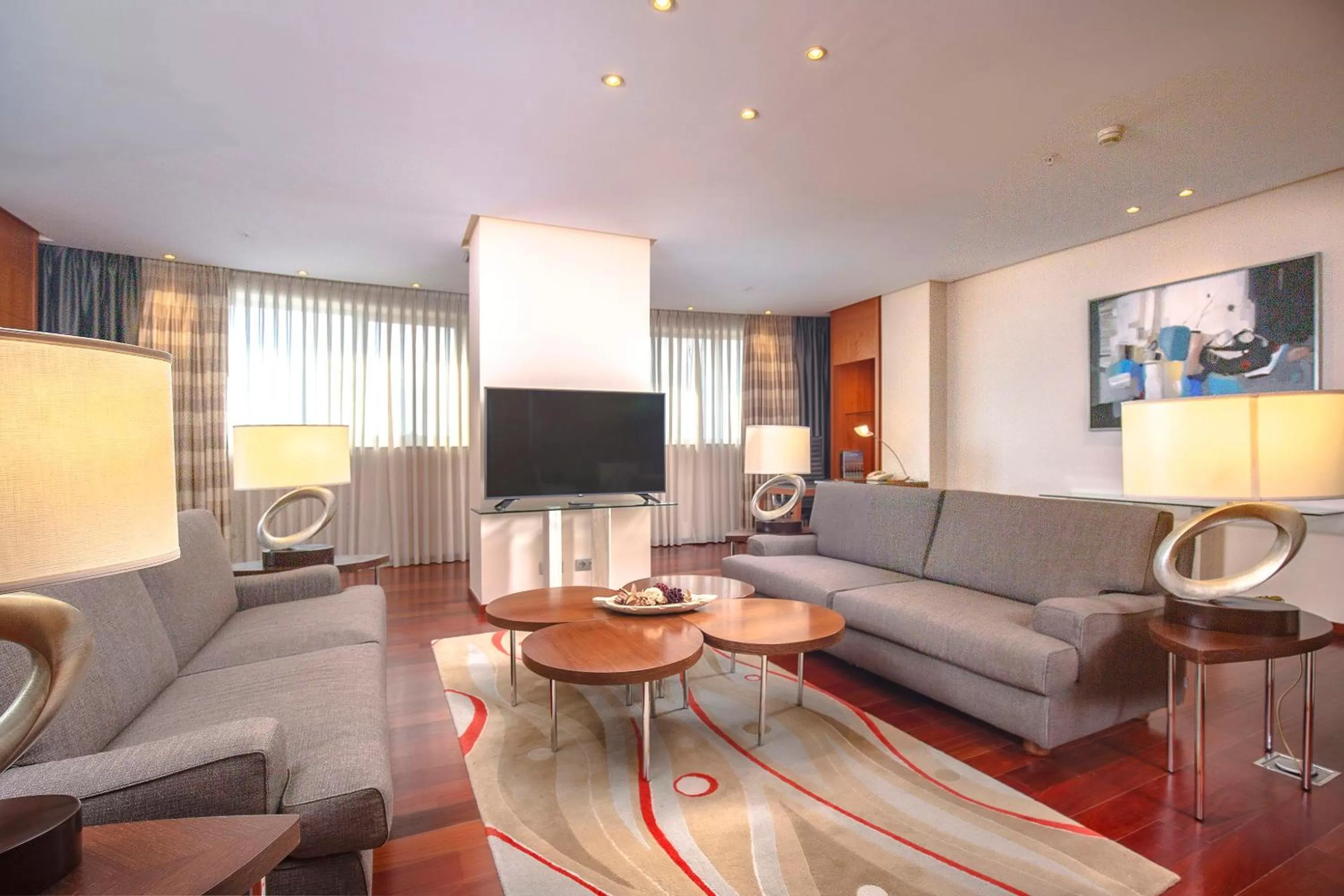 TV and multimedia in Melia Valencia