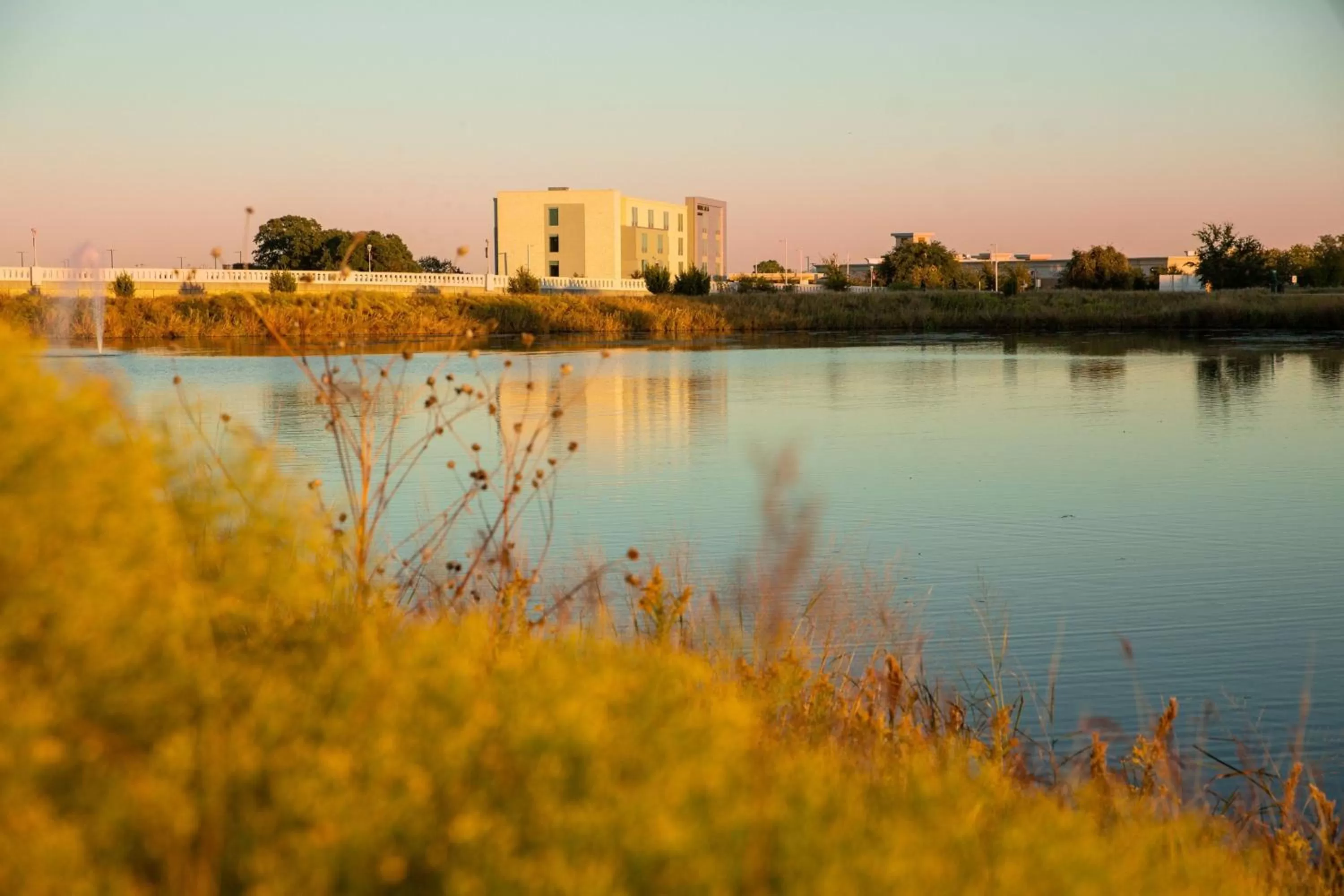 View (from property/room) in SpringHill Suites by Marriott Austin Cedar Park