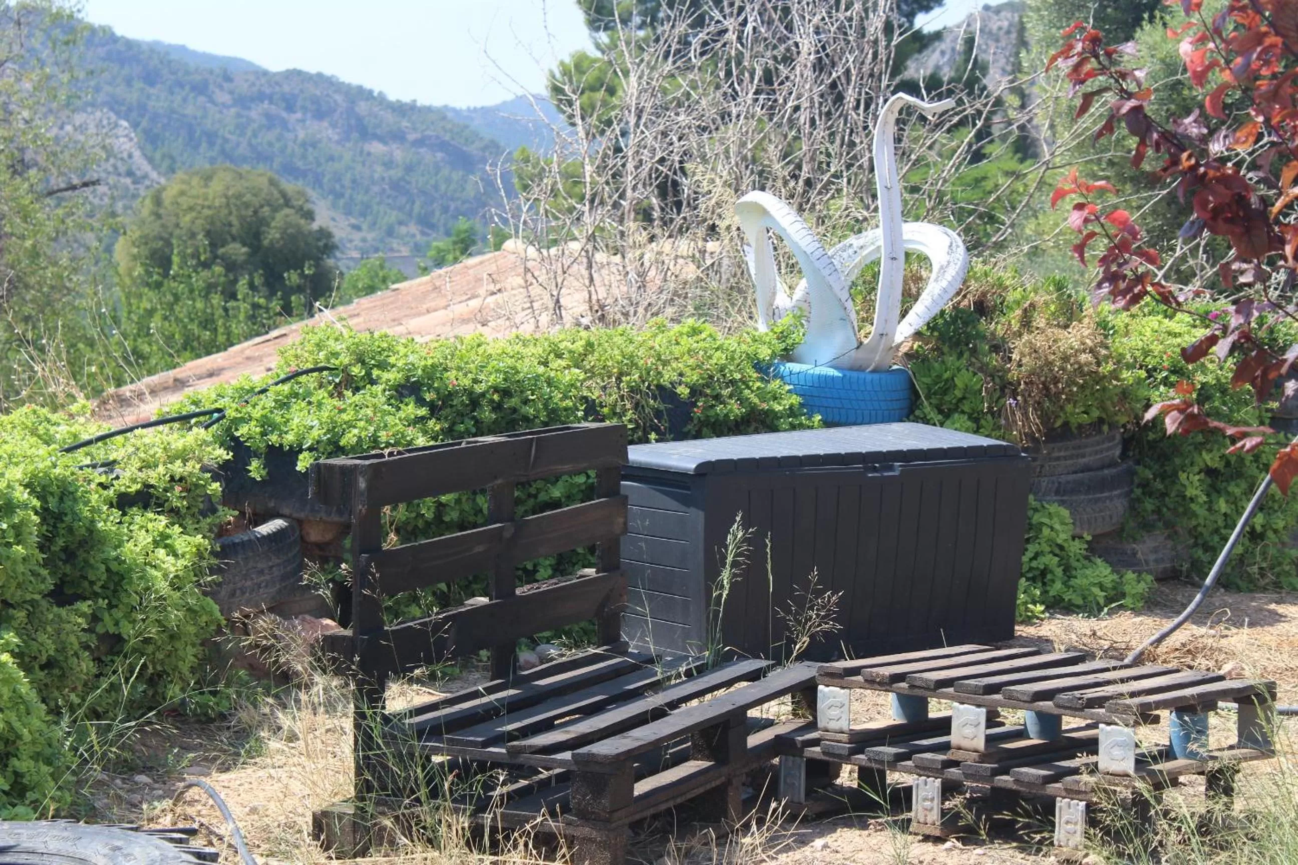 Spring in Cabezo Buñuel Hostal