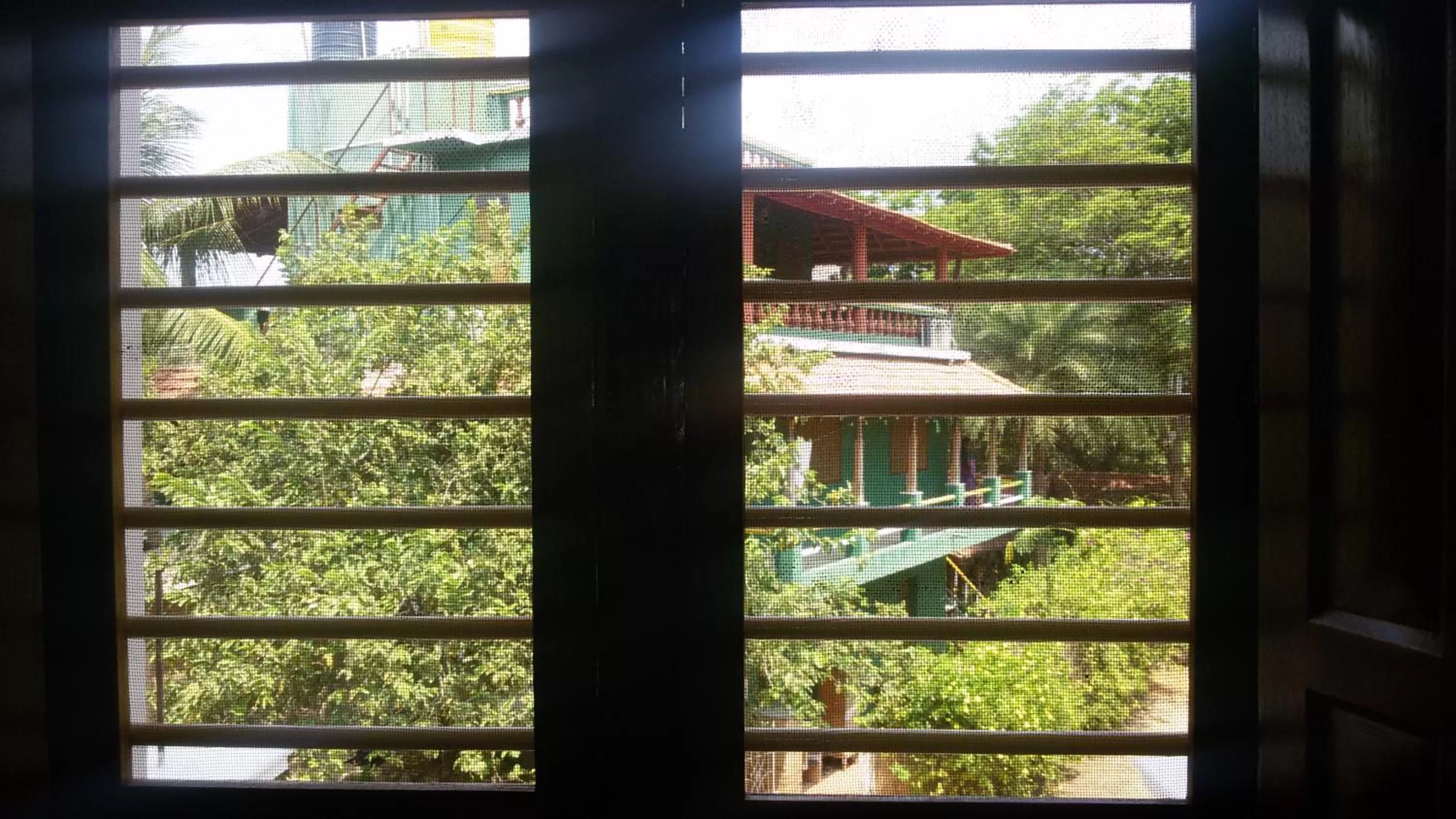 View (from property/room) in Green's Guest House