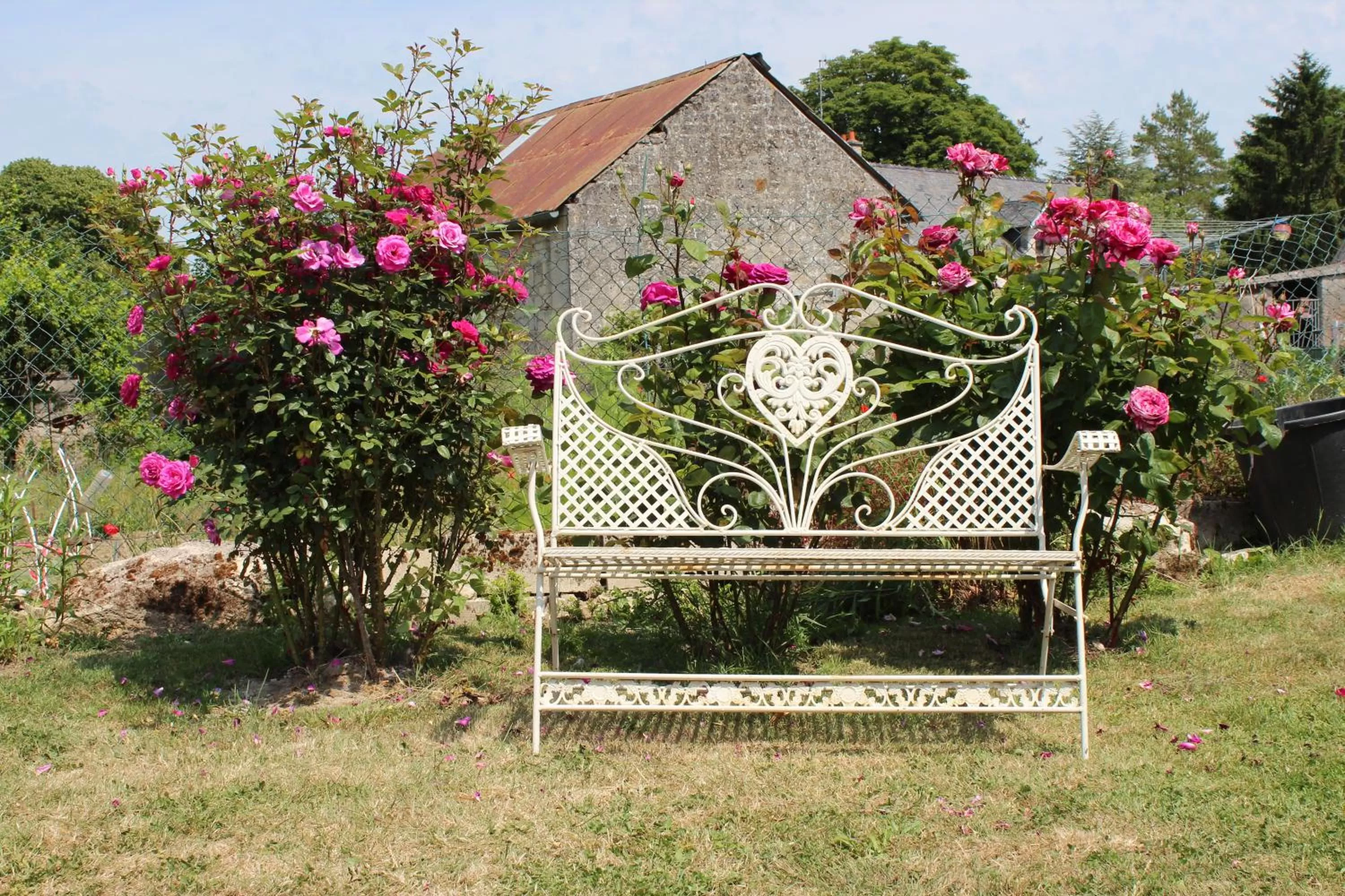 Garden in Ma Gentilhommière