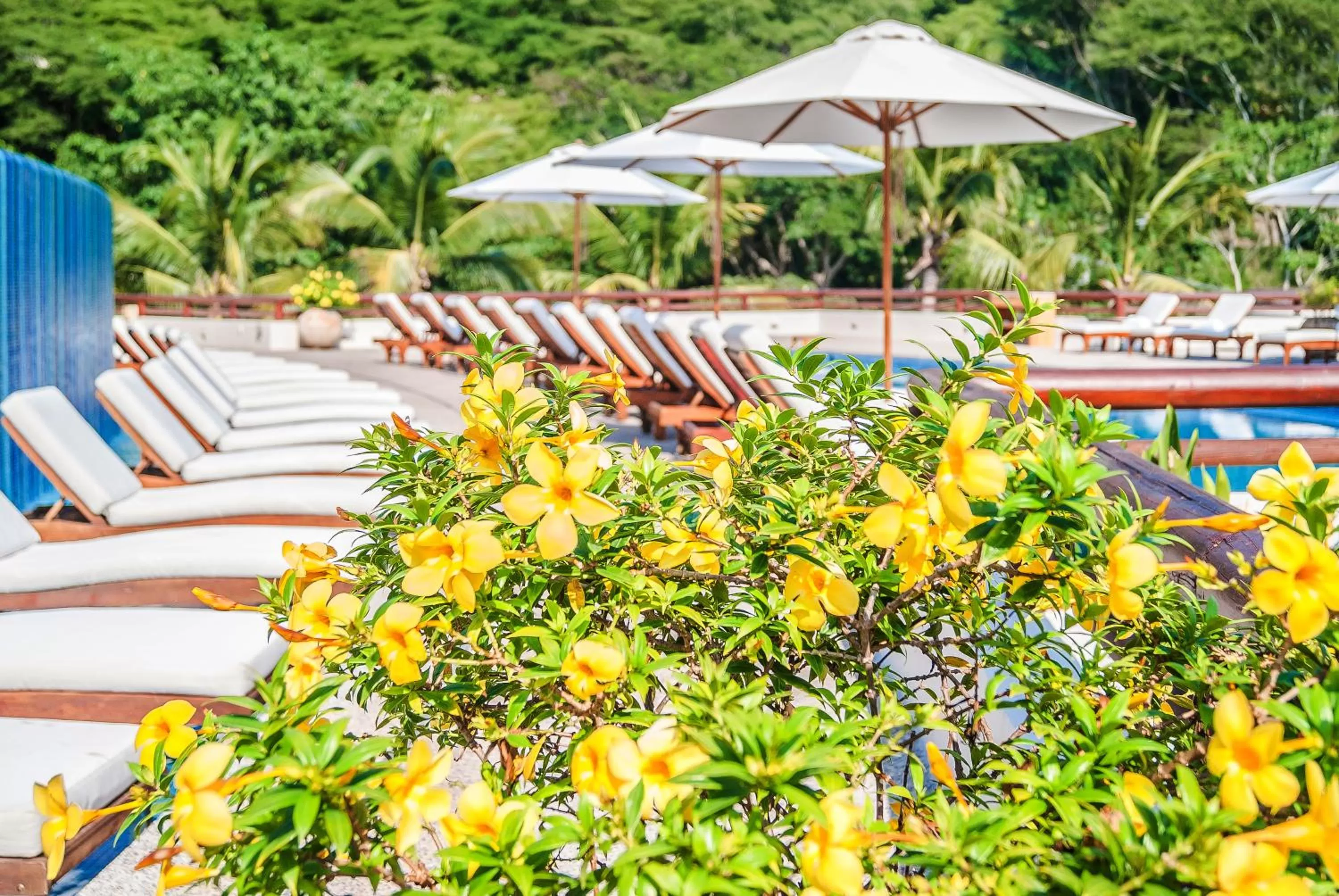 Inner courtyard view in Grand Matlali Suites & Villas Riviera Nayarit