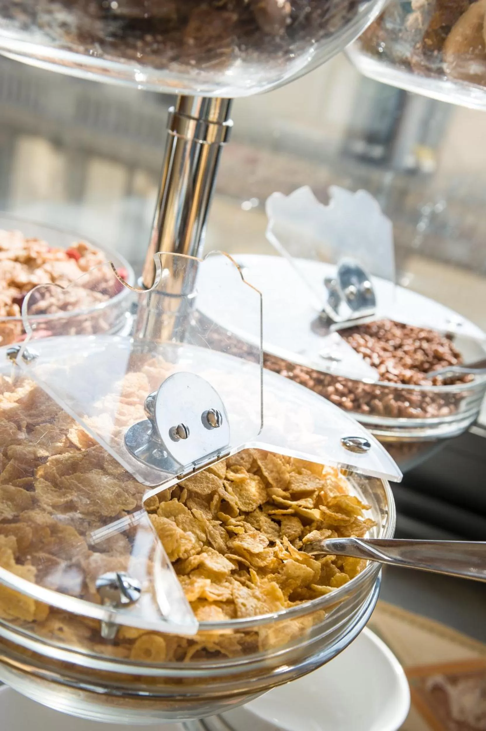 Restaurant/places to eat in Hotel Fiorita