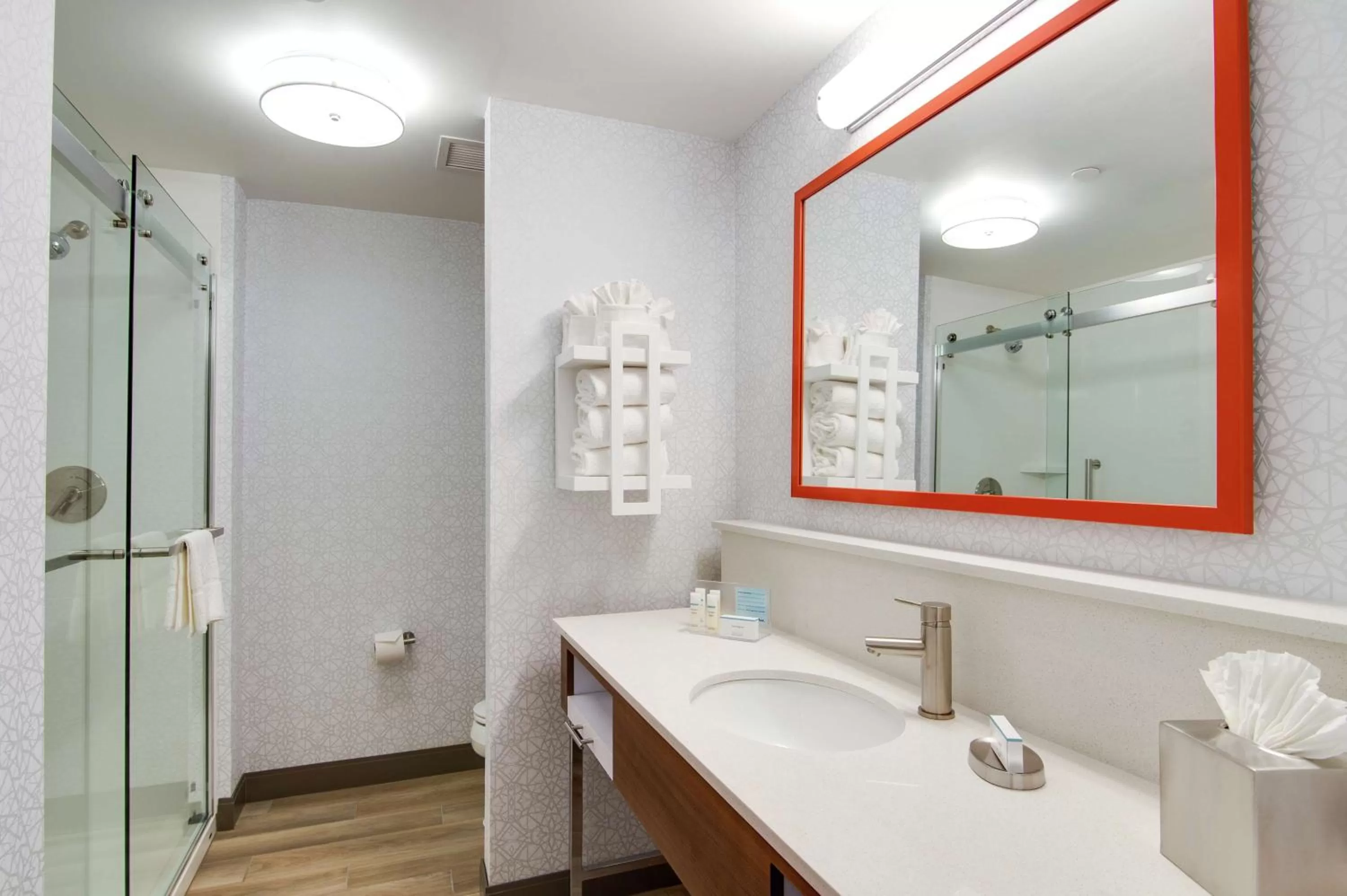 Bathroom in Hampton Inn & Suites by Hilton Nashville North Skyline